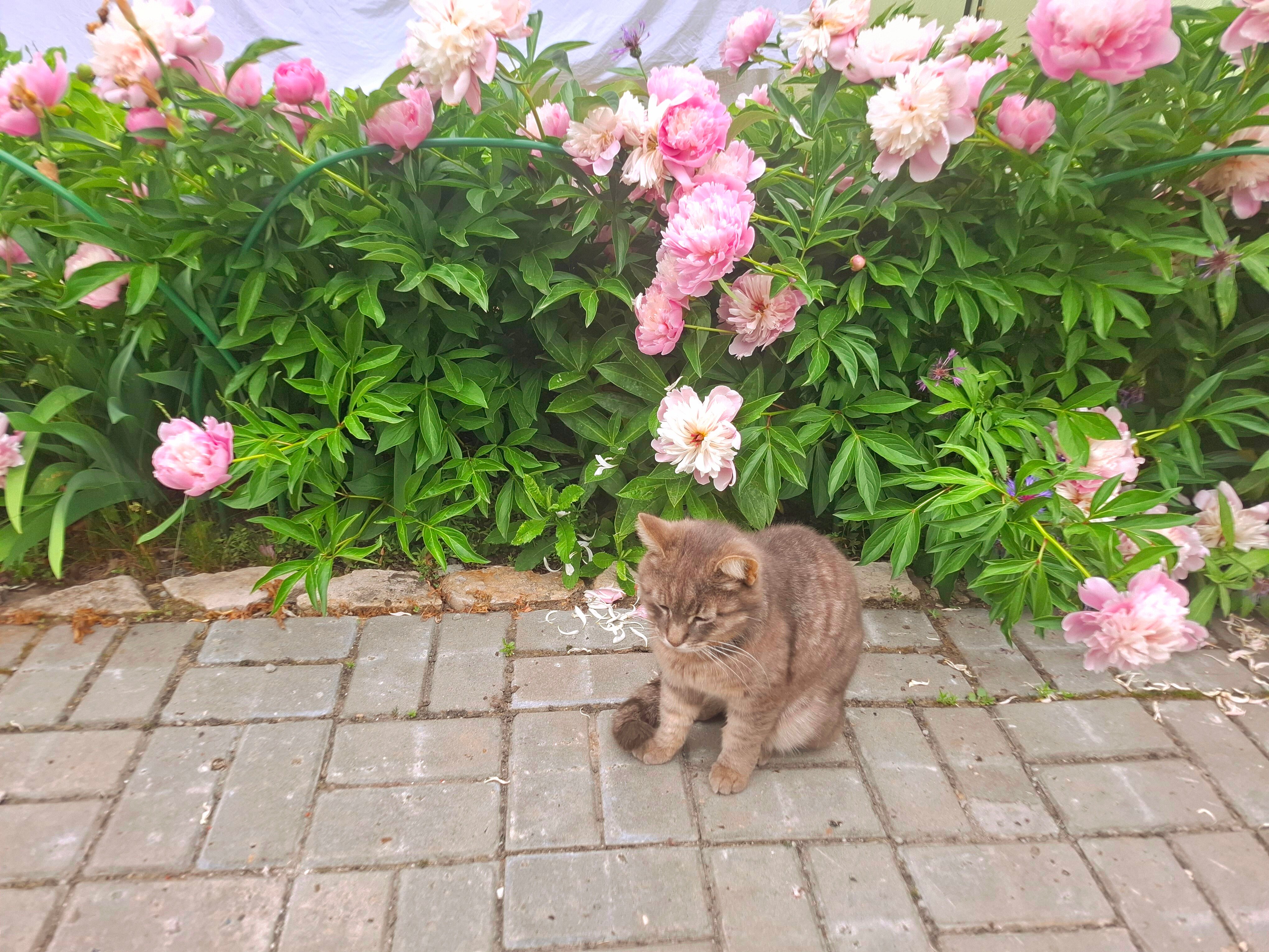 Фото Постоялый двор