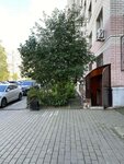 Net love (Bolshevo Microdistrict, Pushkinskaya Street, 13), beauty salon
