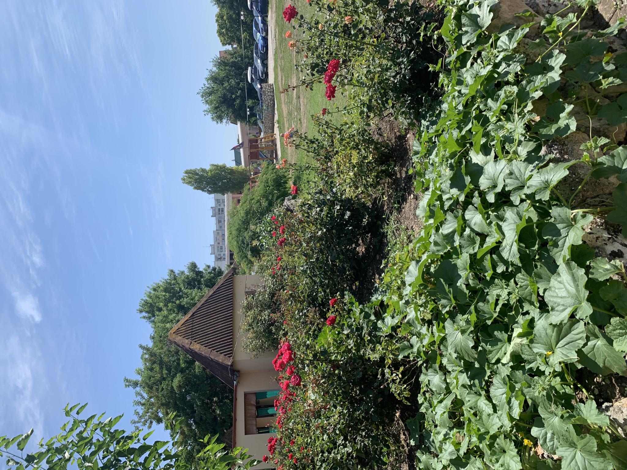 Фото Город-Ок