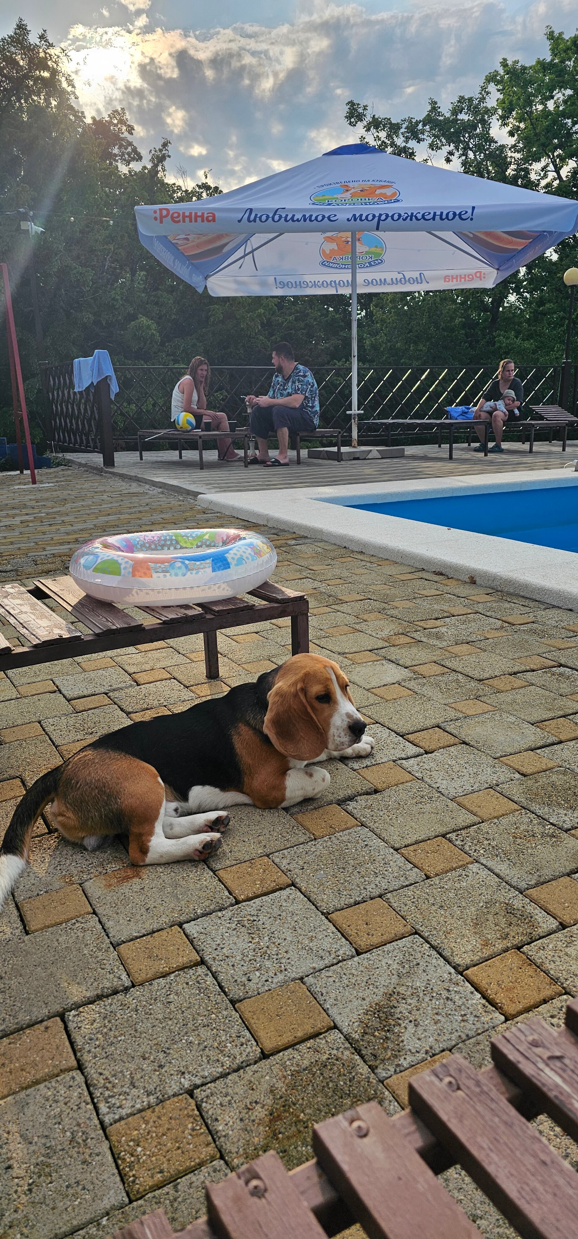 Фото Парк Инал