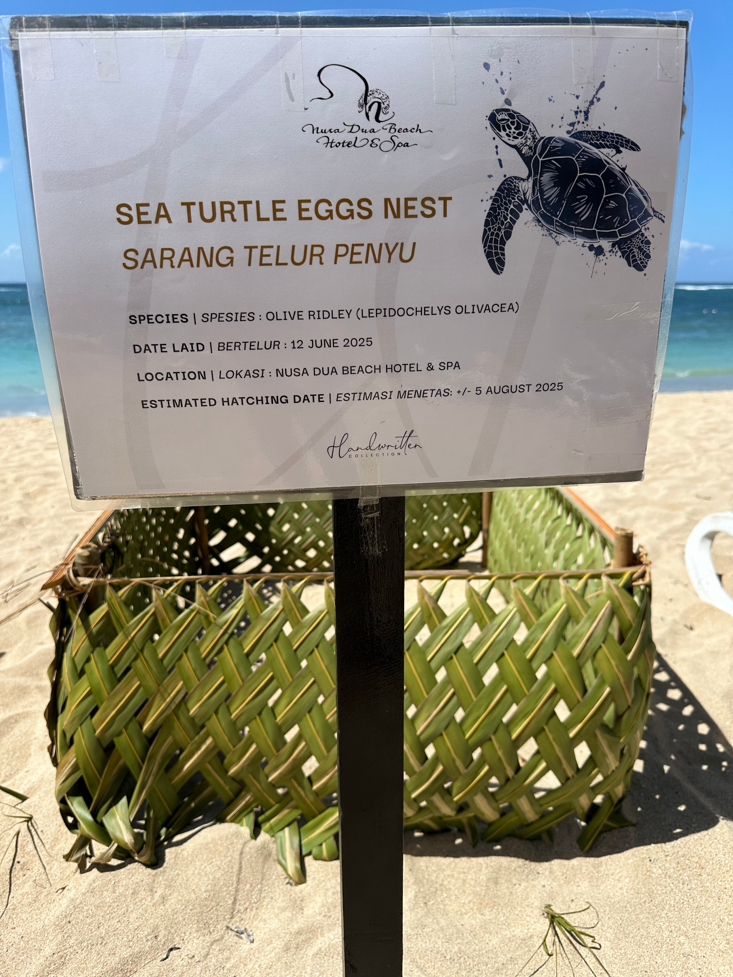 Фото Nusa Dua Beach Hotel