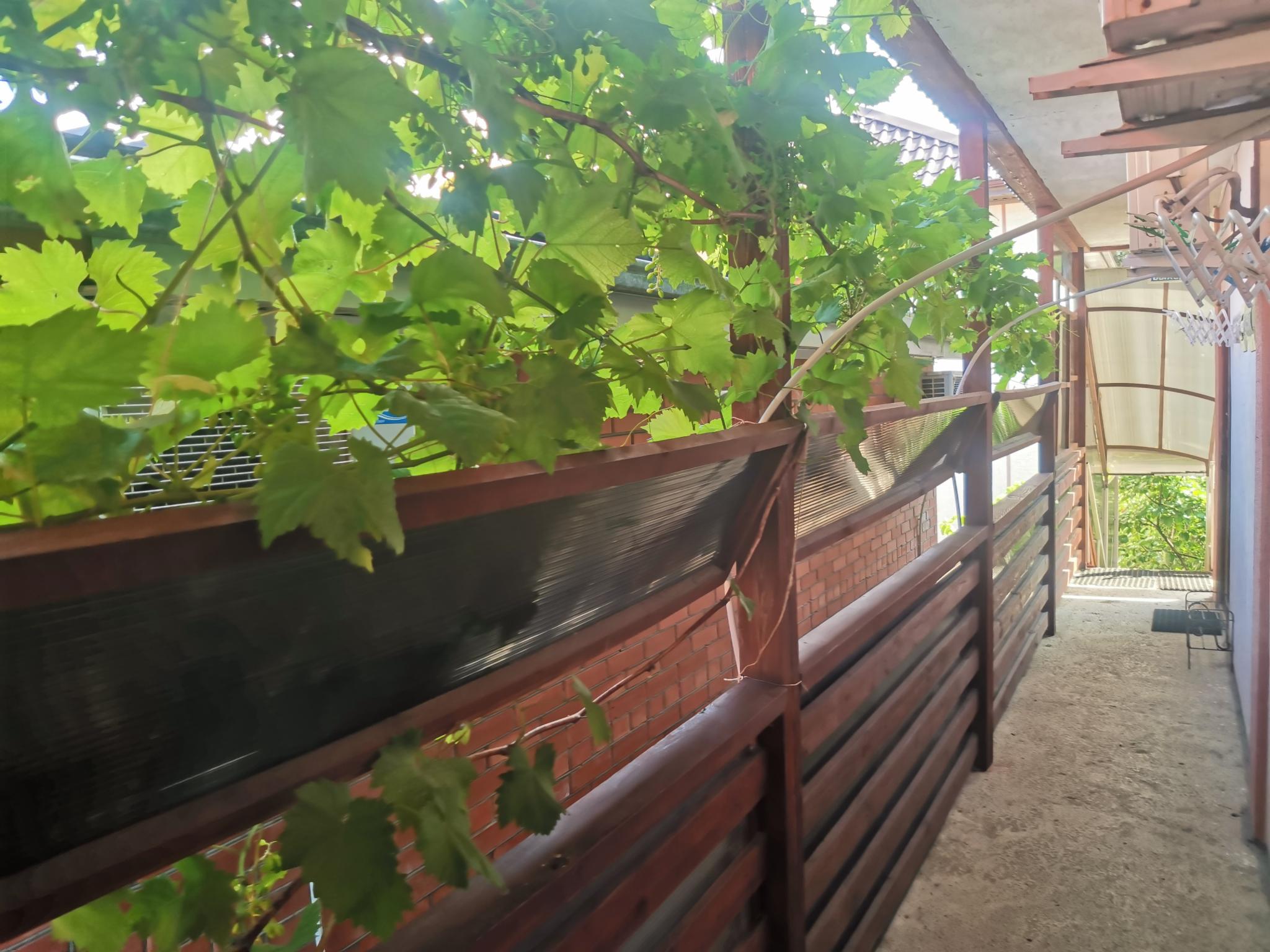 Фото Елисеевский