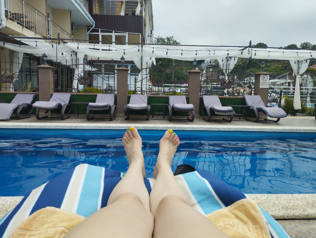 Фото Анютины Глазки