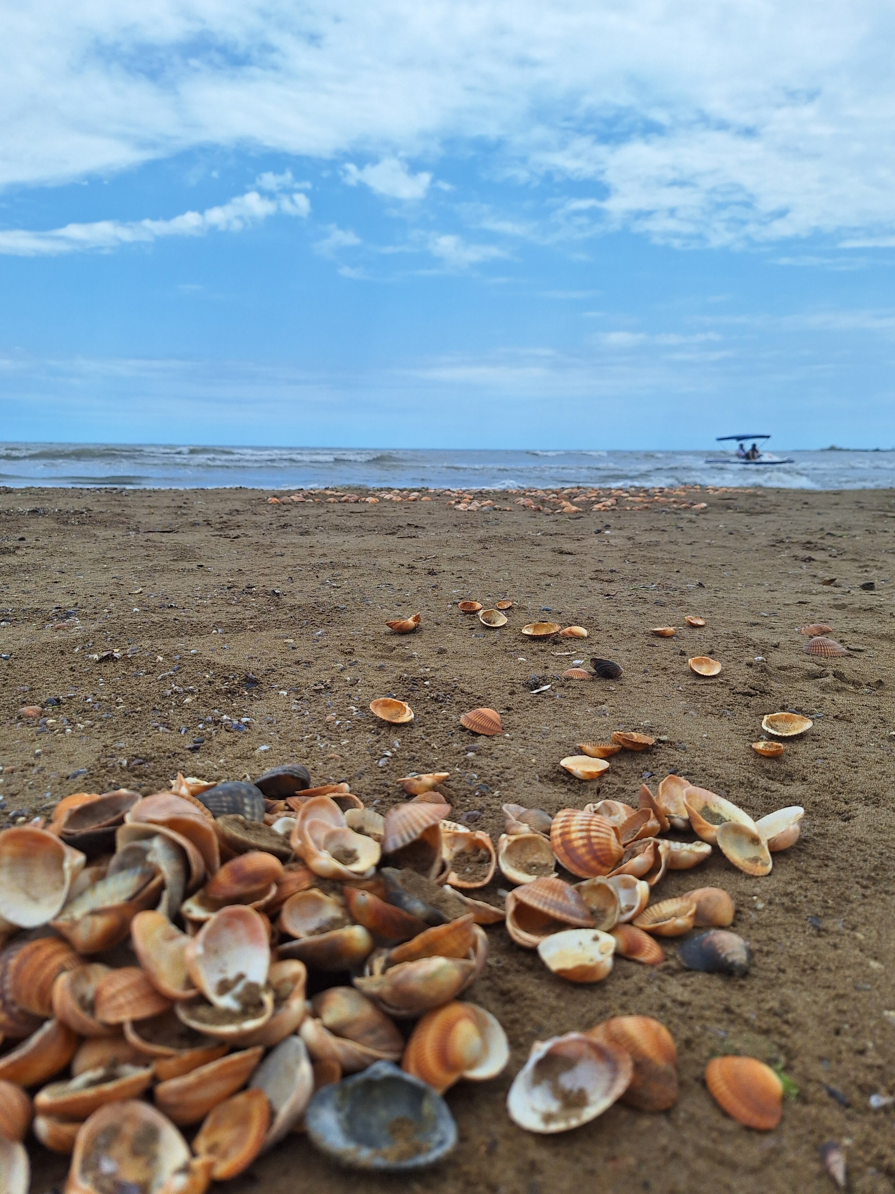 Фото Рассвет