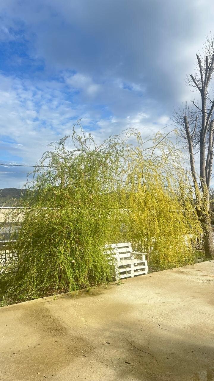 Фото Белые ночи