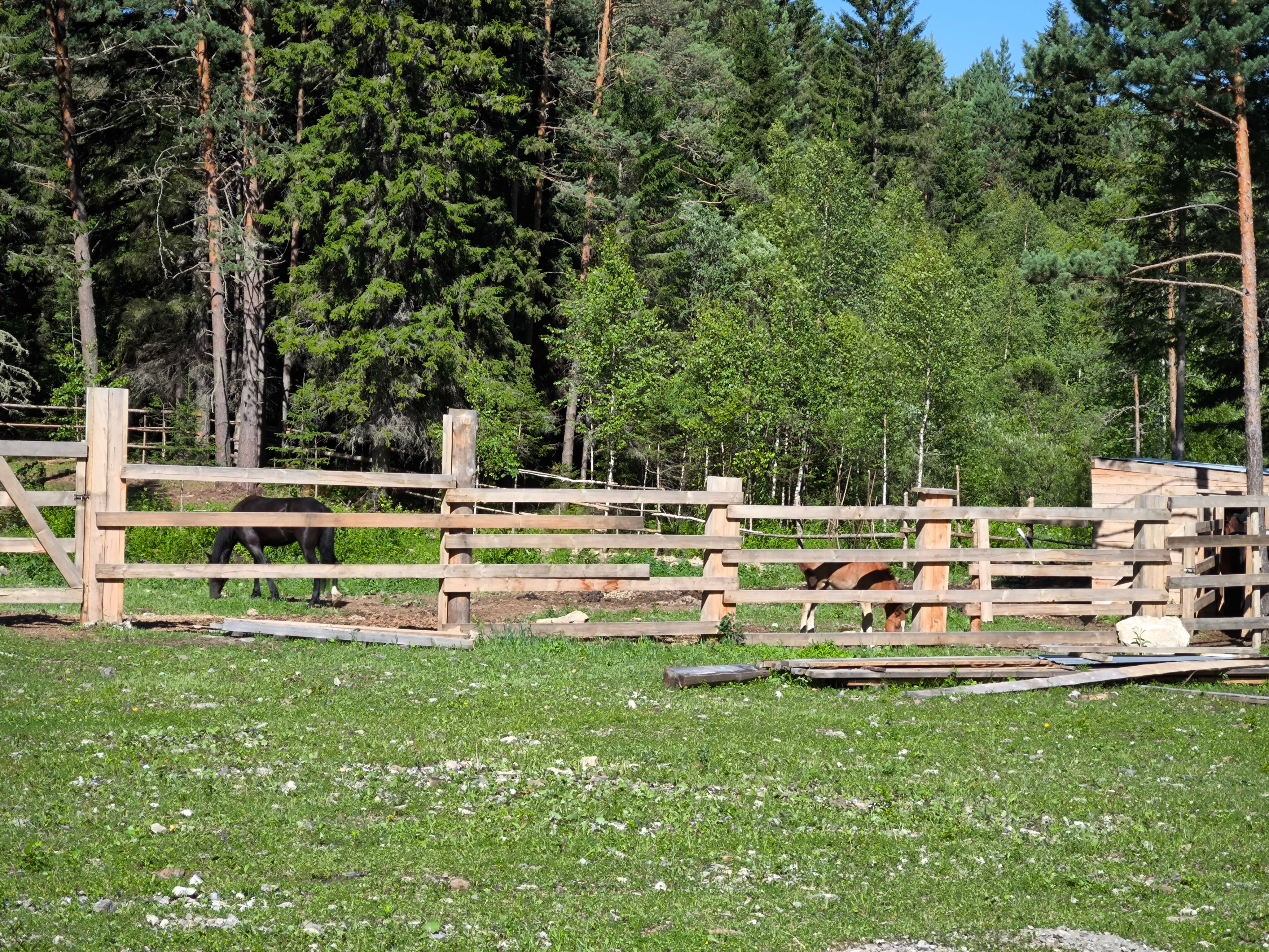 Фото Сказочка