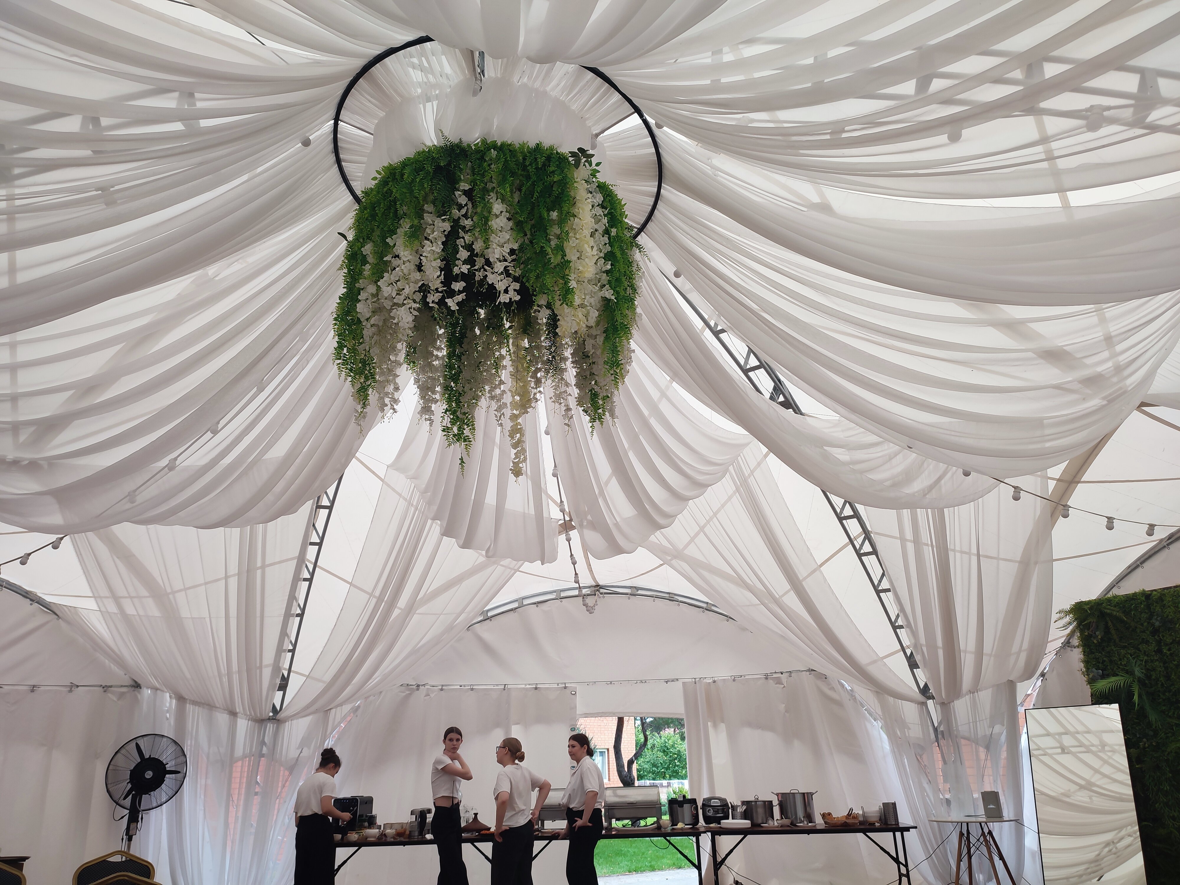 Фото Изумрудный лес