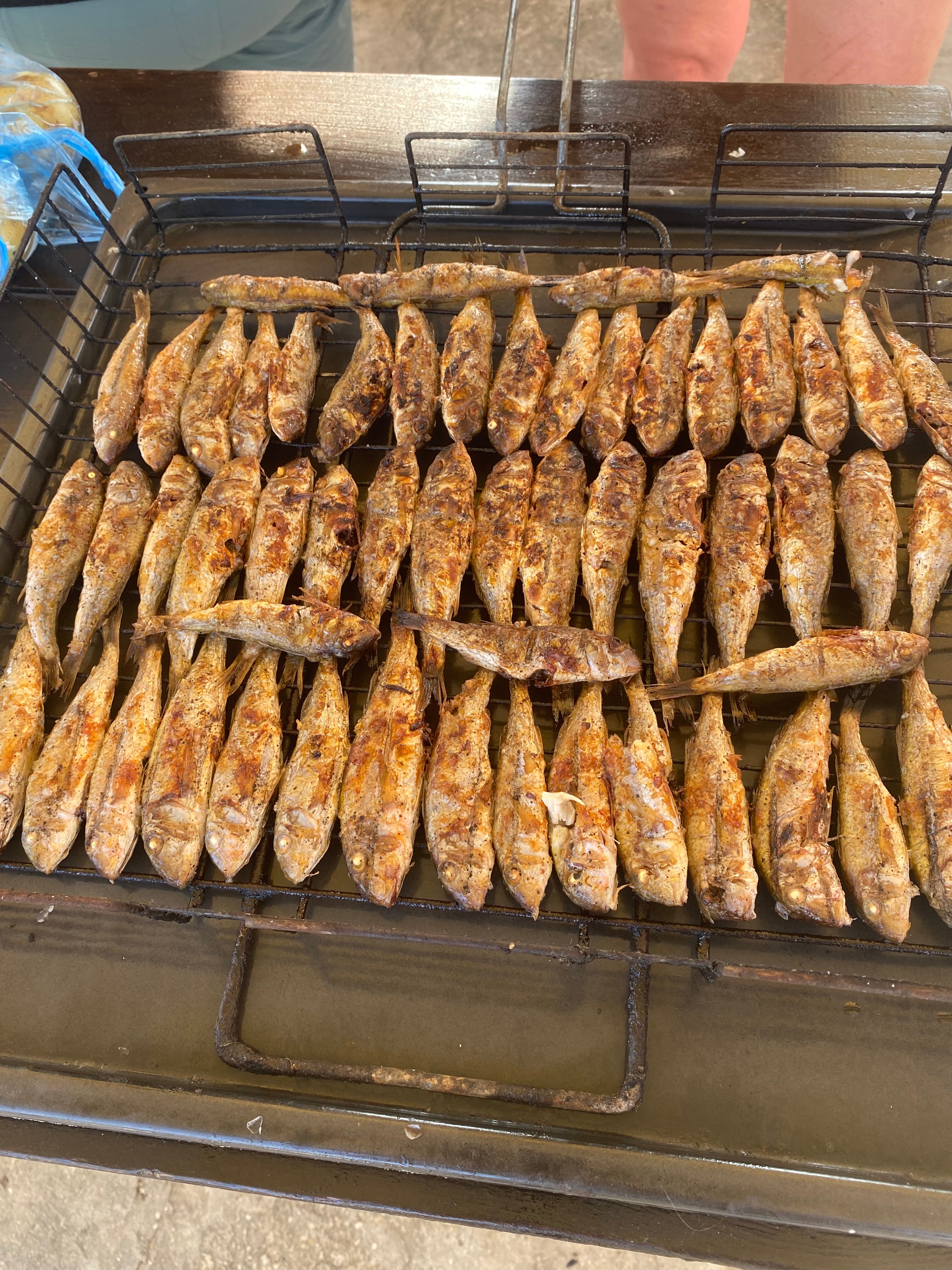 Фото Лагуна