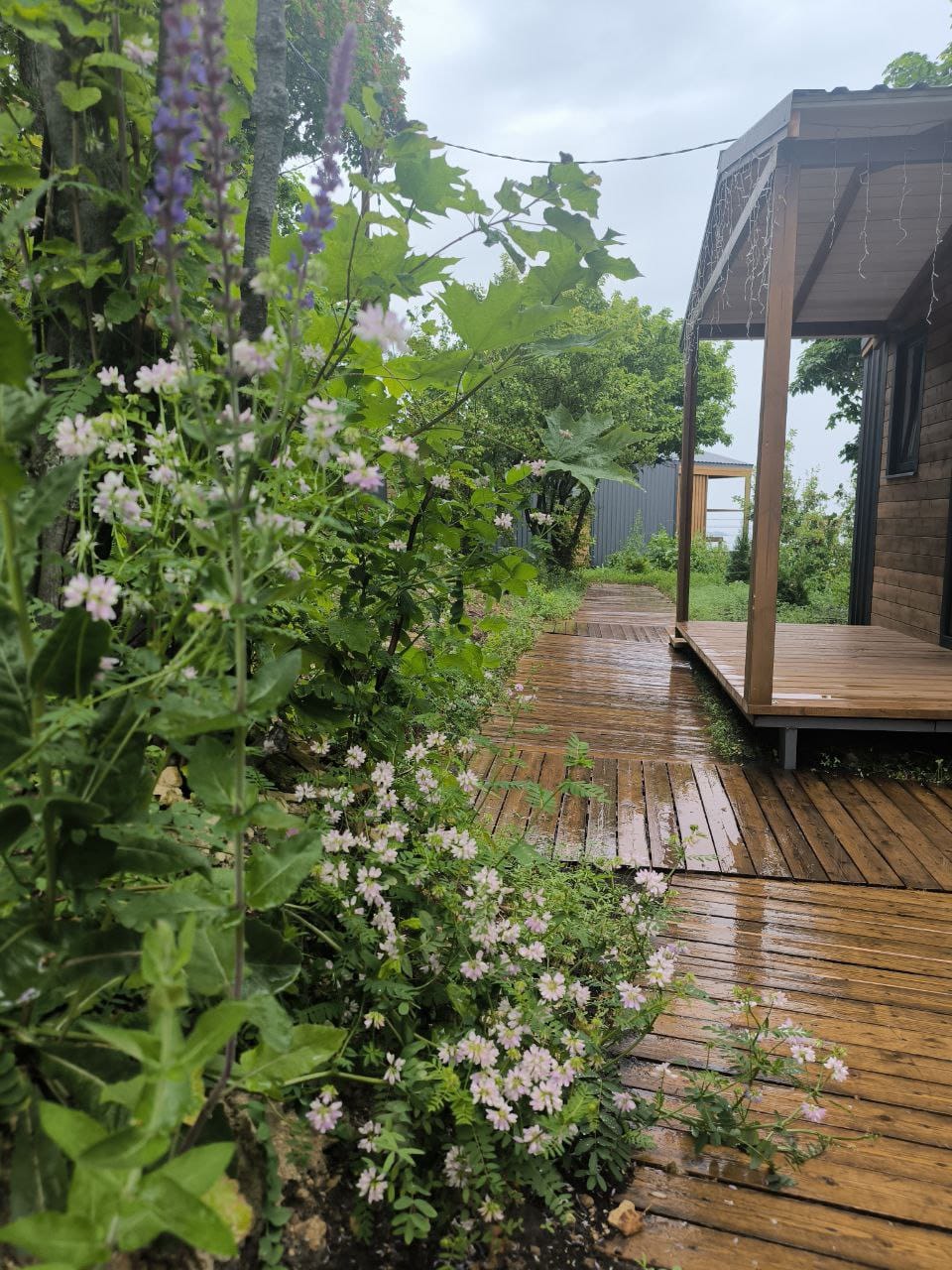 Фото Высота 63 метра над уровнем моря