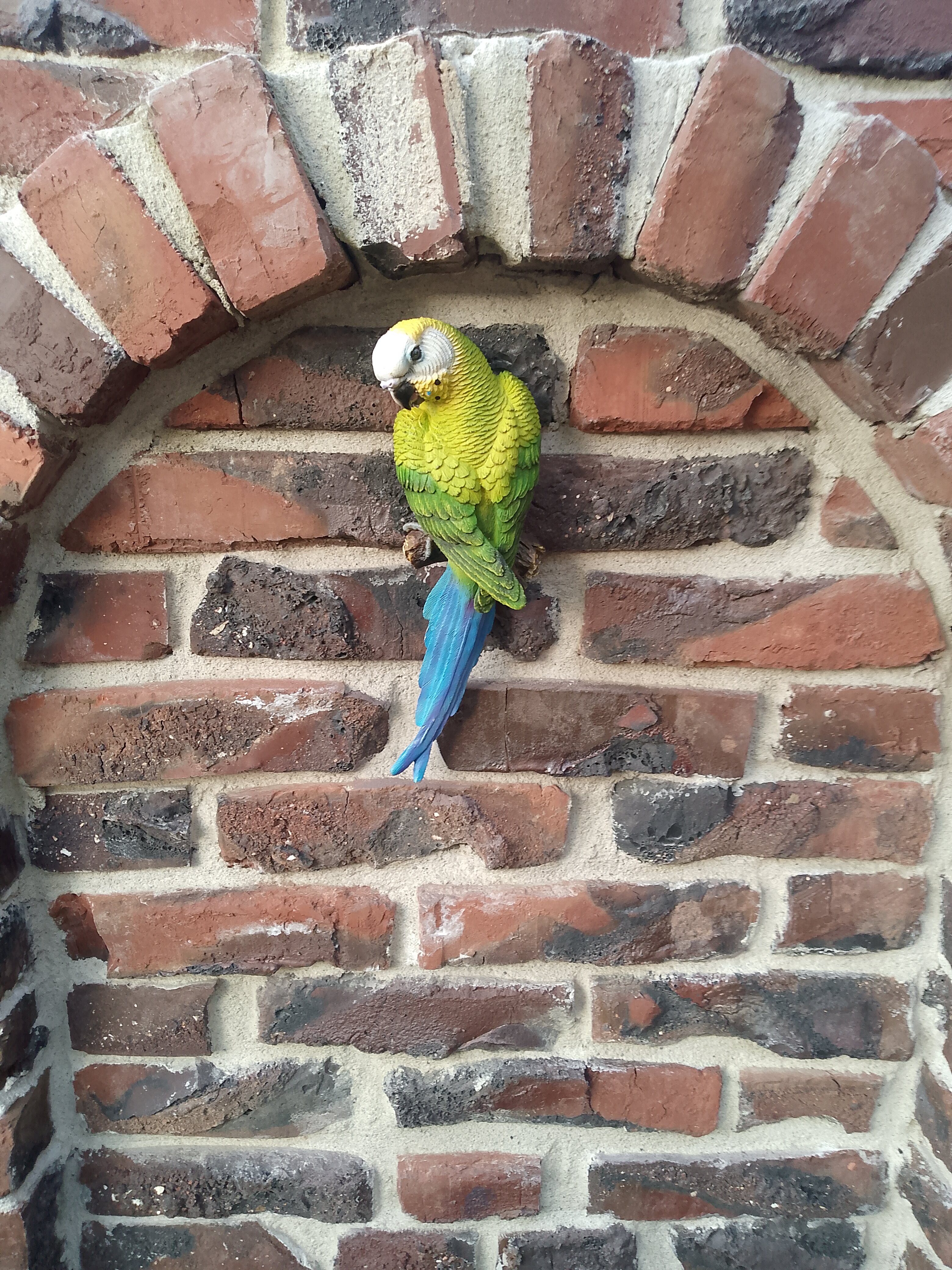 Фото Димерчи