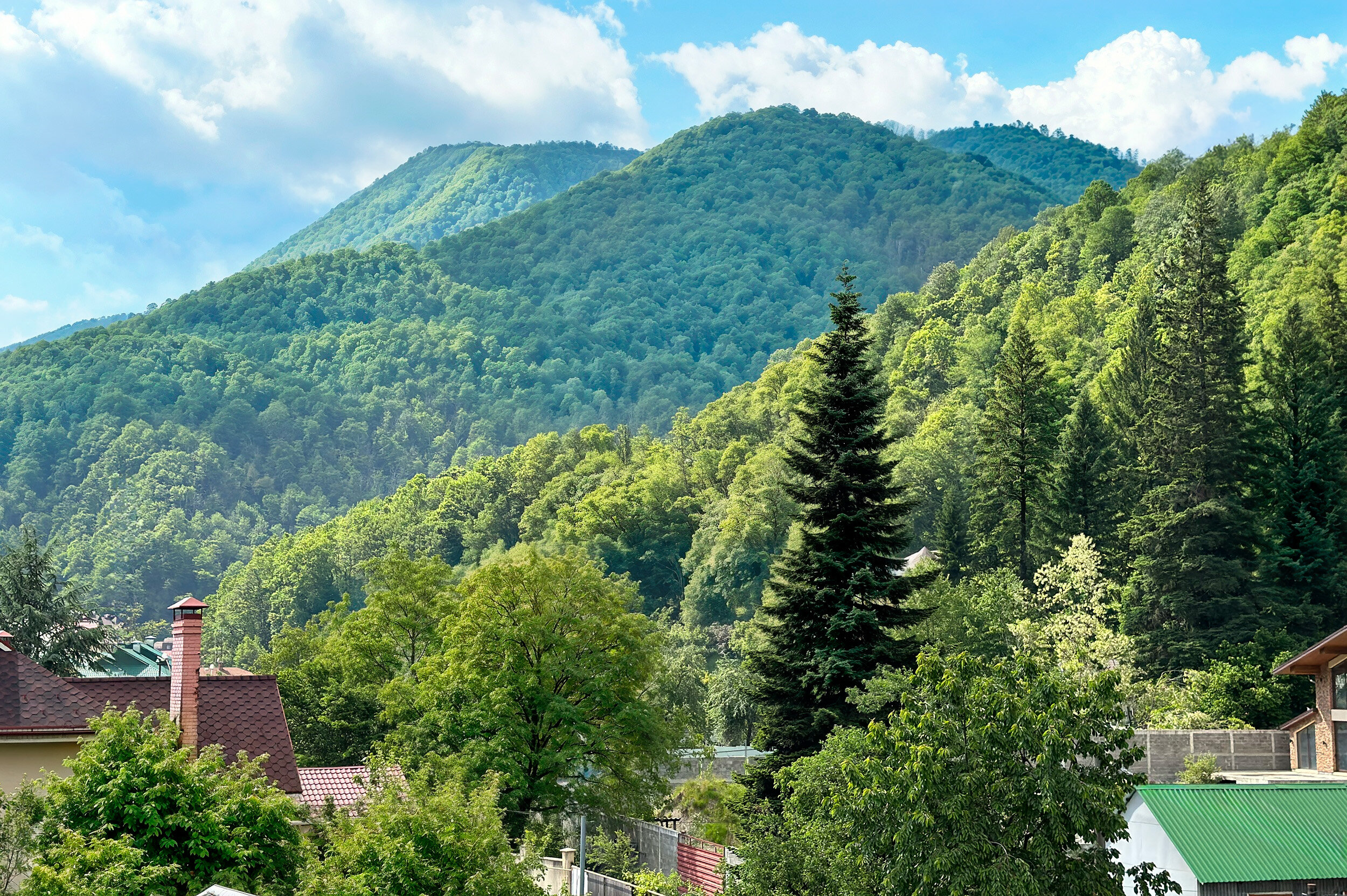 Фото Айсберг Редэнс