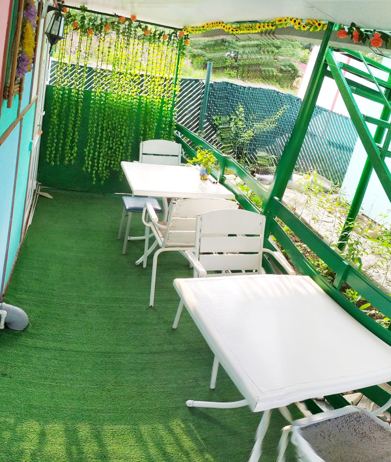 Фото СаНата