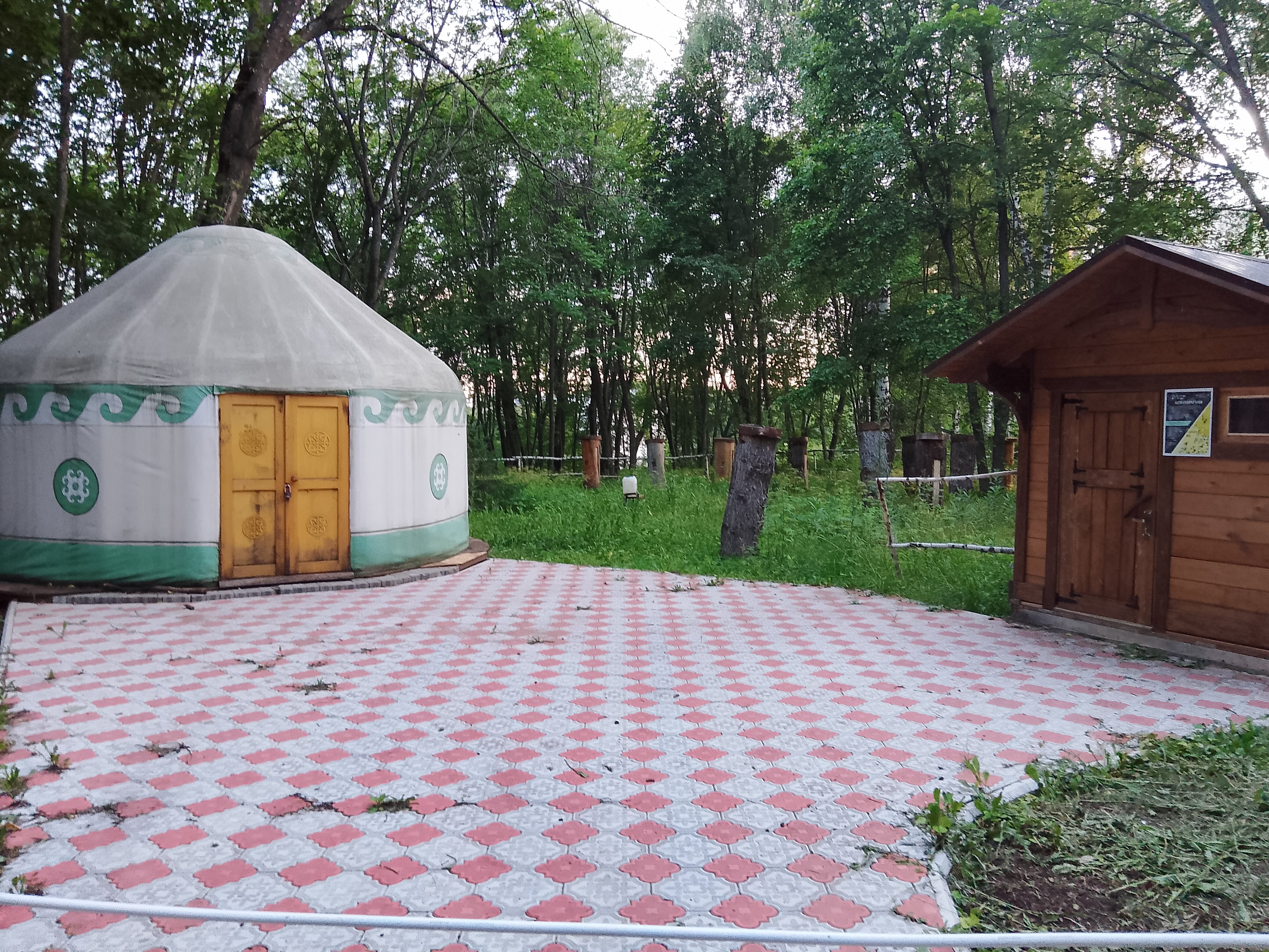 Фото Зеленая Роща