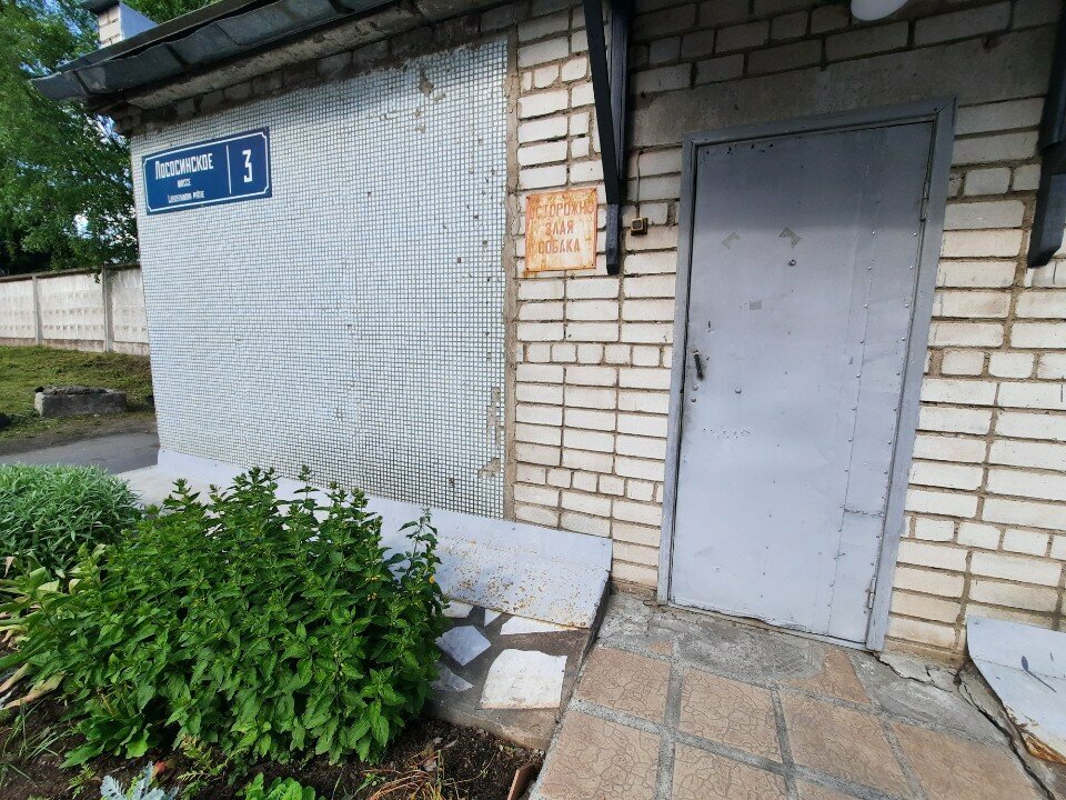 الغابات Хвойное лесничество филиал Управления Лесного Хозяйства и Природопользования ، ، صورة