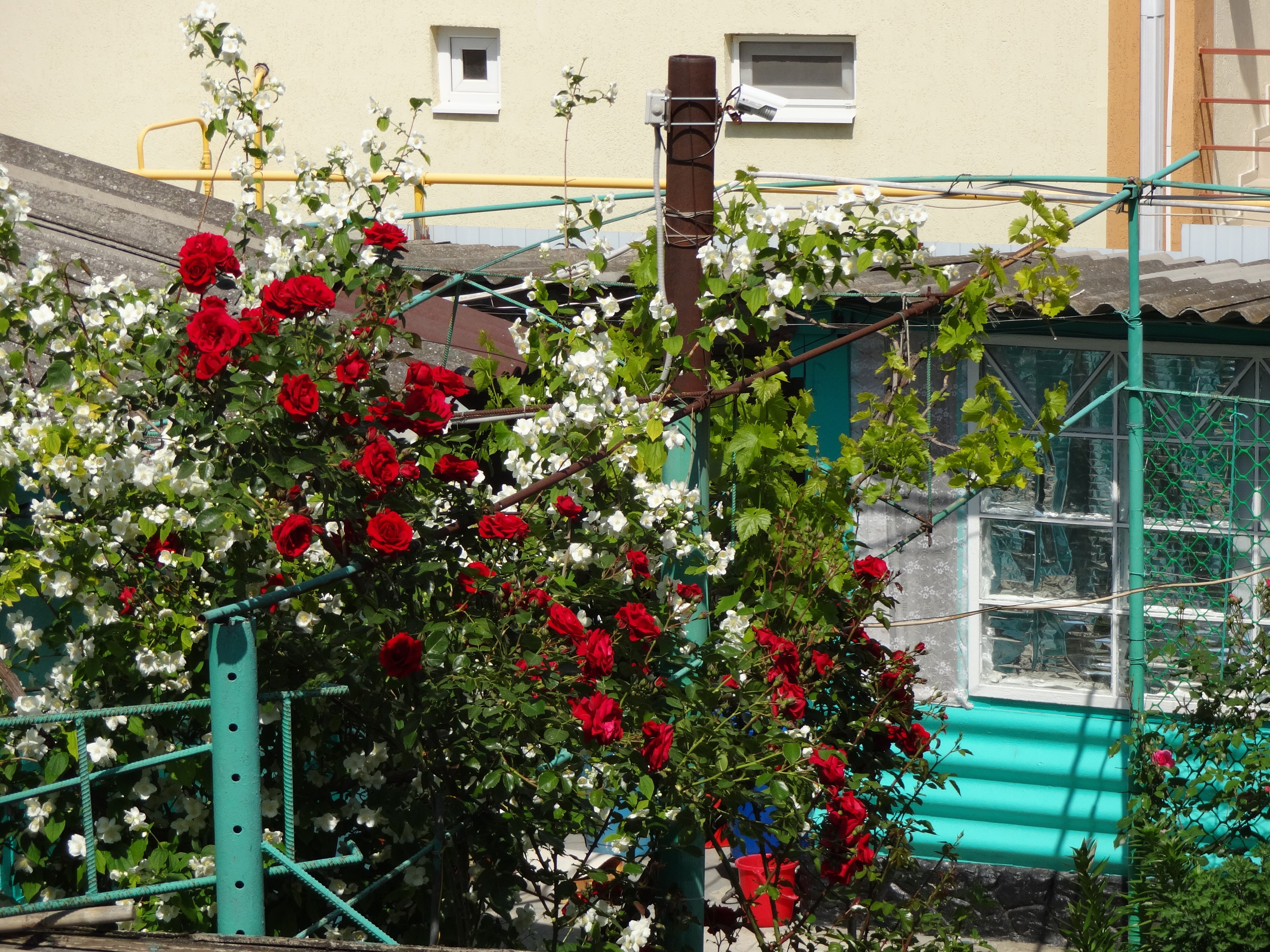 Фото Гостевой дом У Борисовны