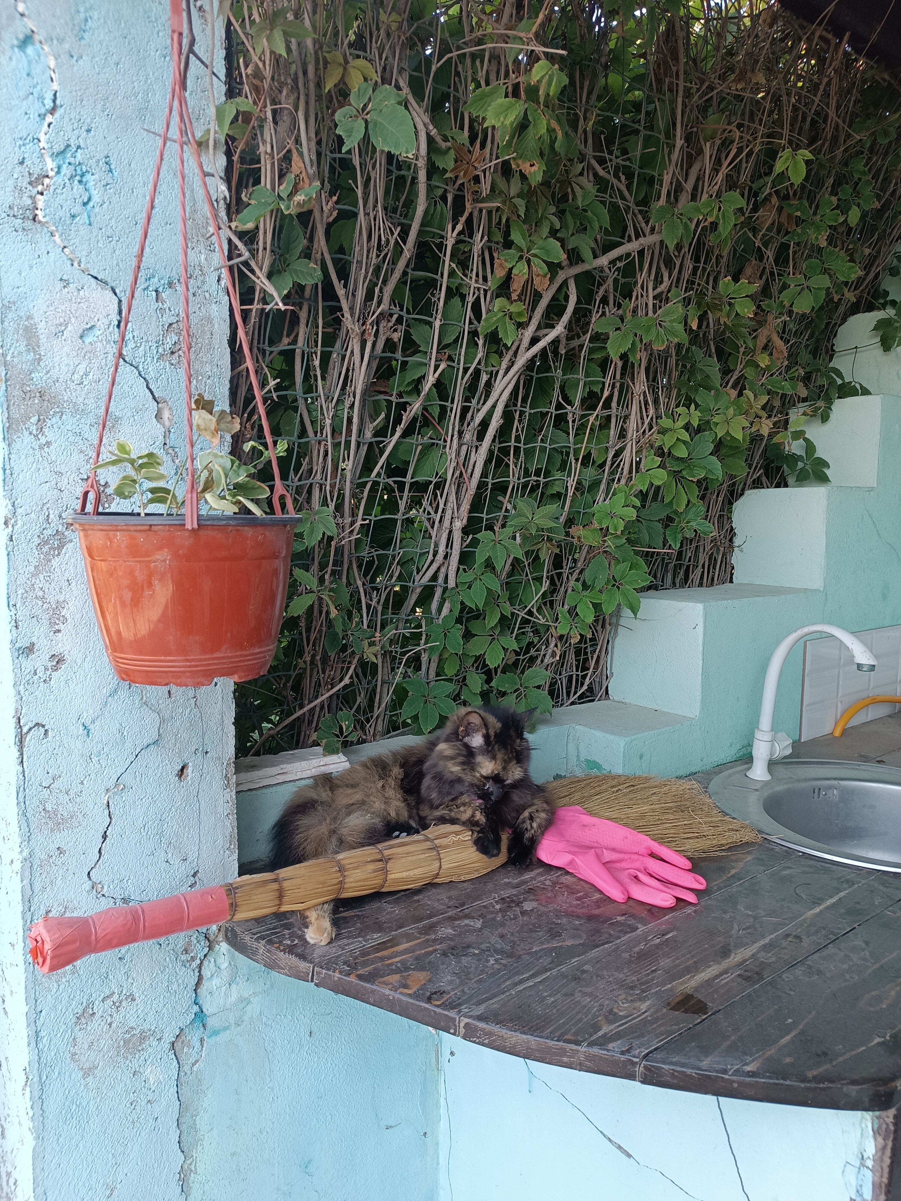 Фото Casa del Mar