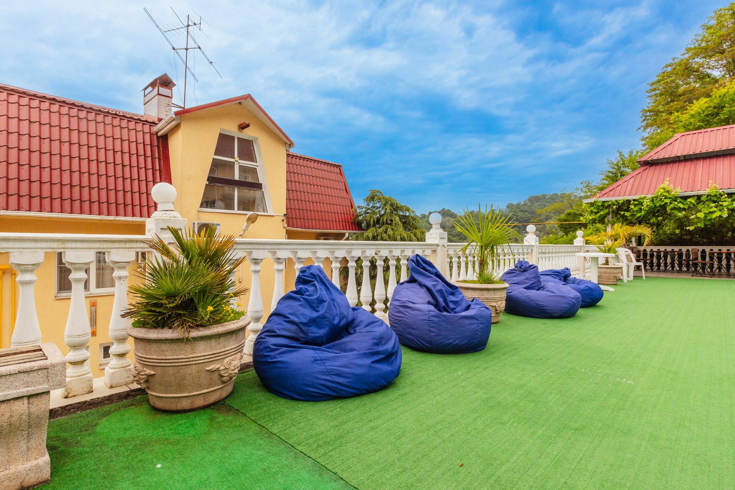 Фото Аист и Капуста