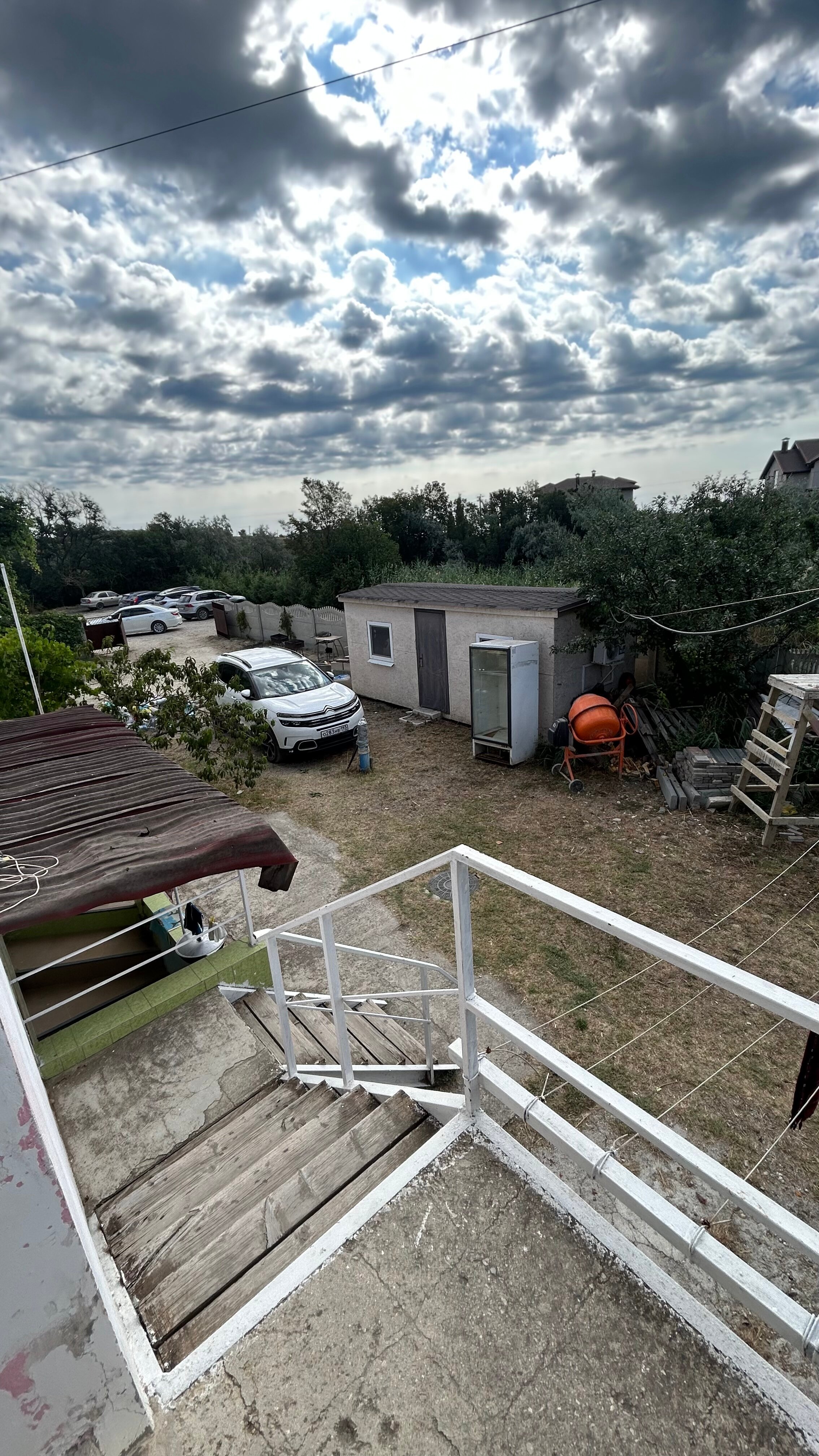 Фото Фламинго