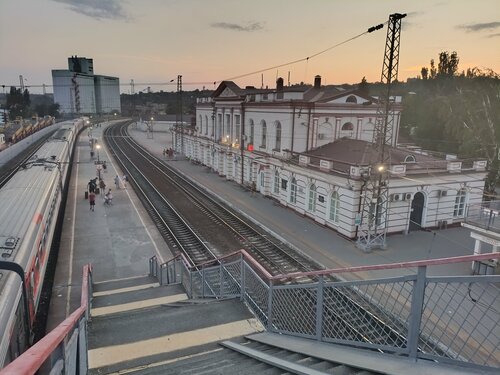 Үлкен кеудесі бар жетілген балапандар