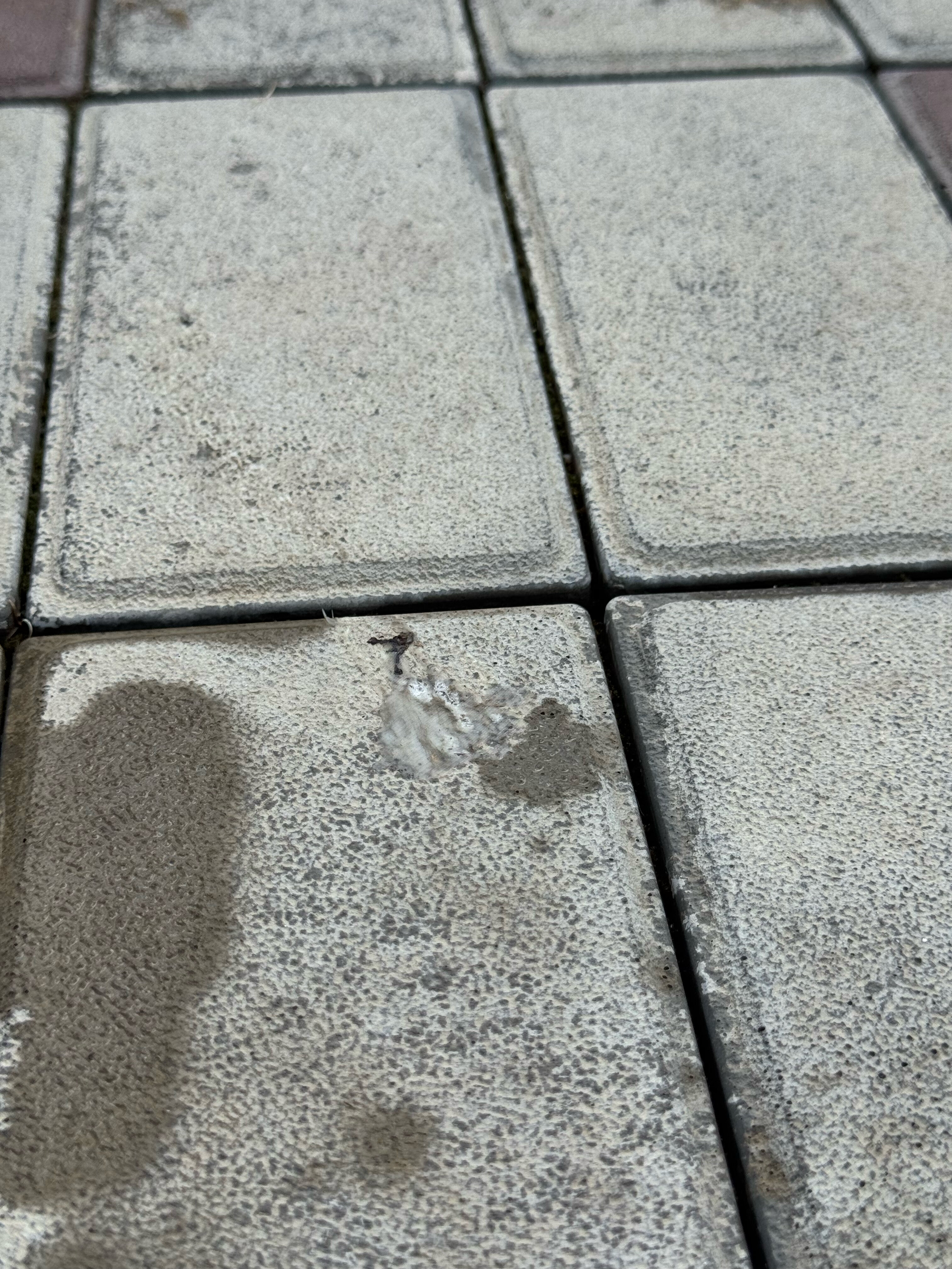 Фото Mzymta Villas Club