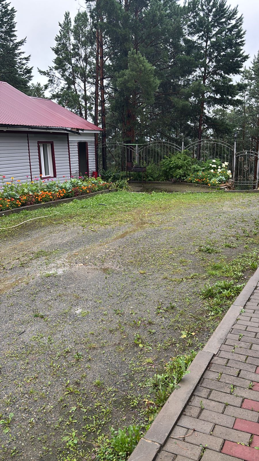 Фото Лунный камень