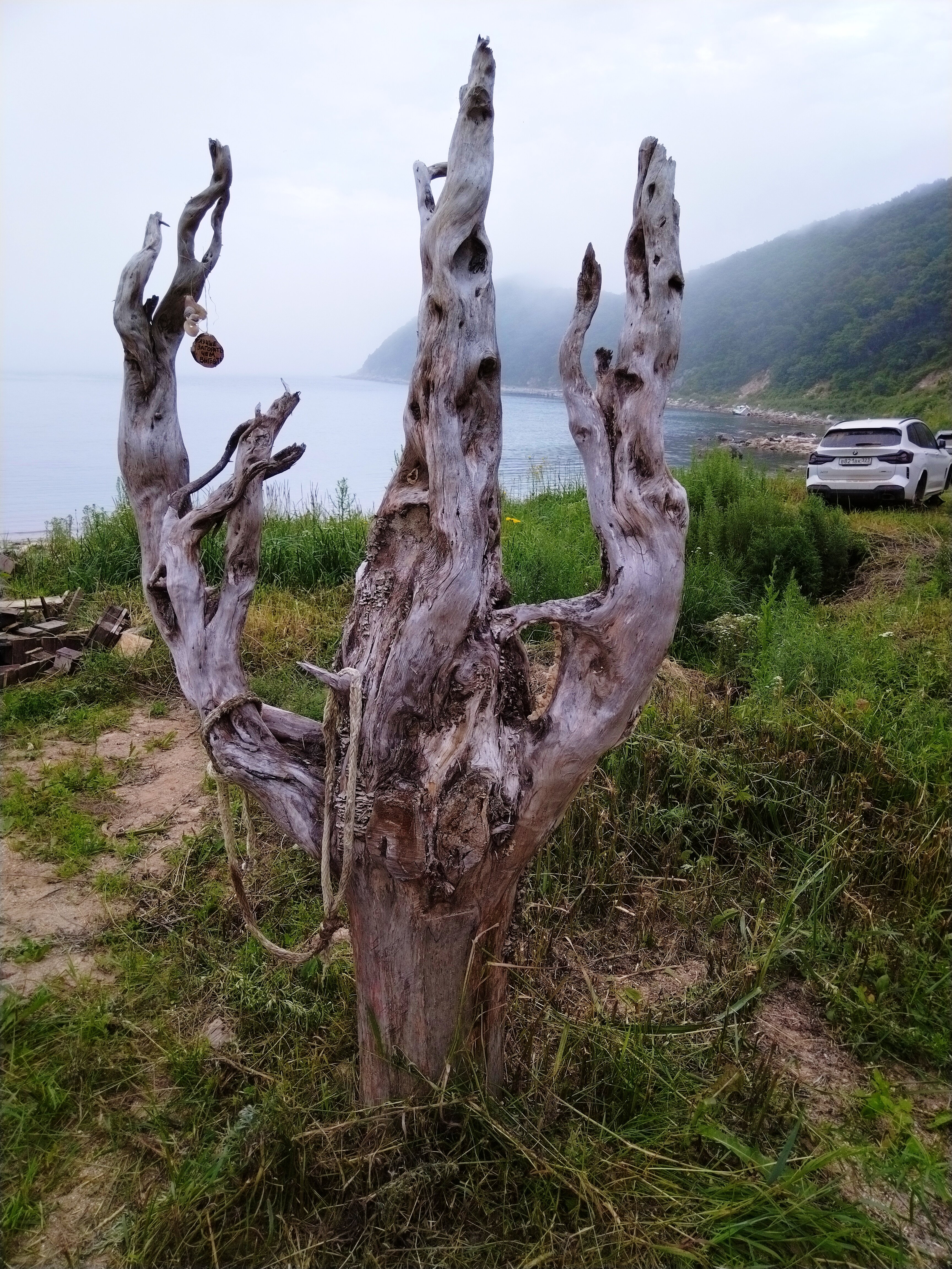 Фото Чинтамани