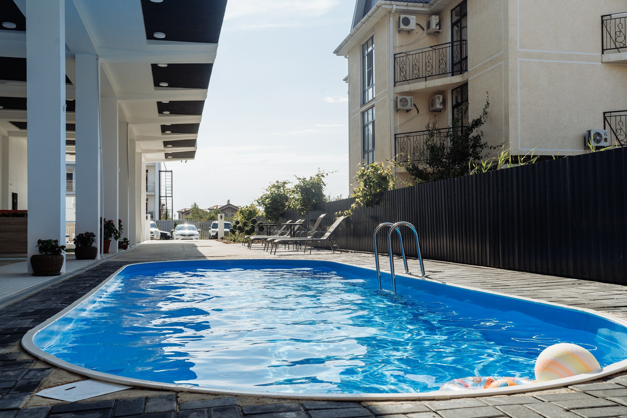 Фото Филоксения