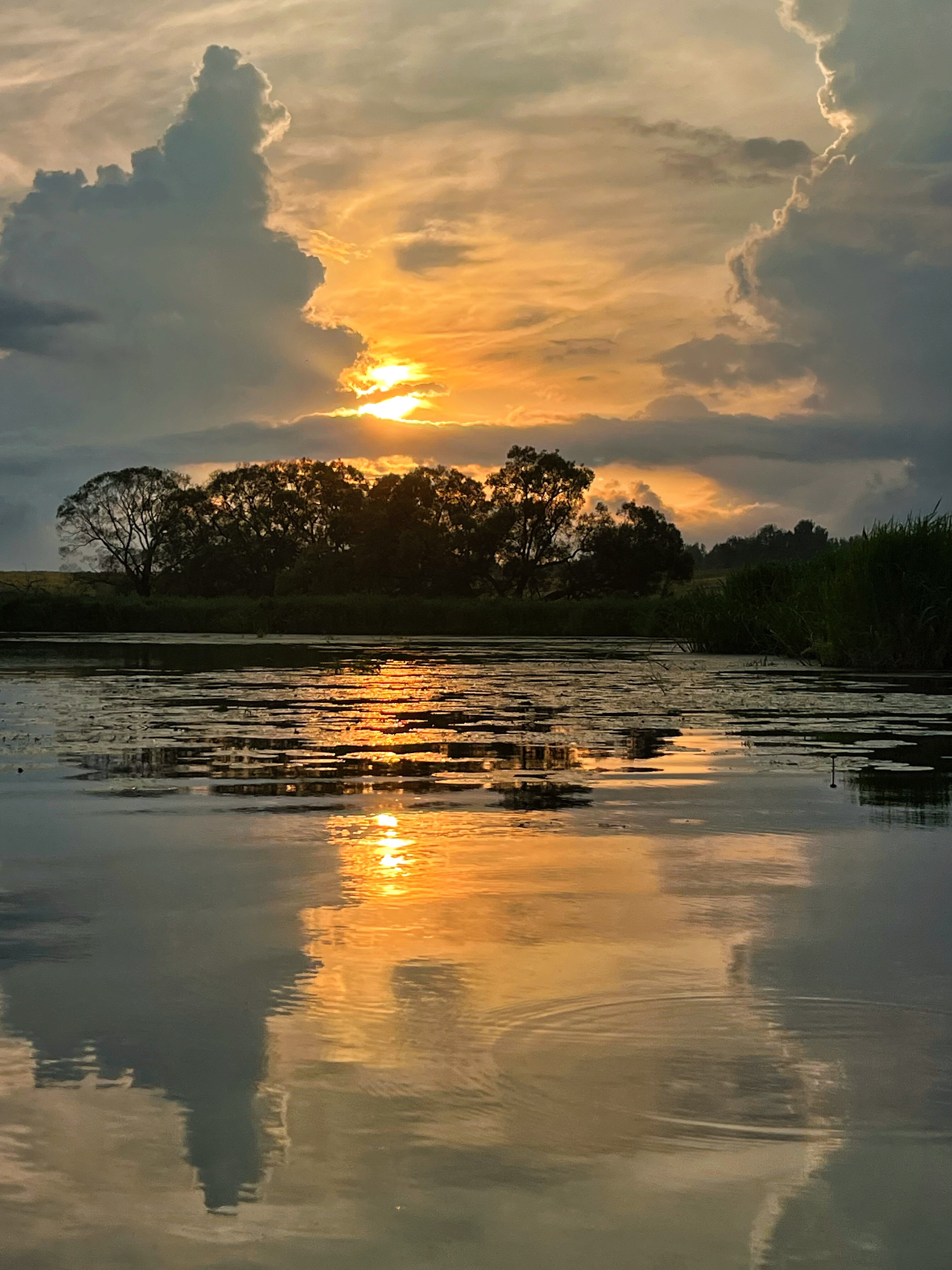 Фото У Аркадьевича