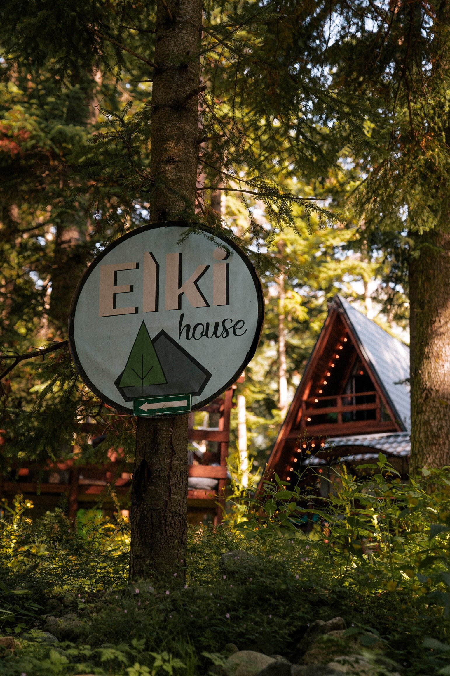 Фото Ёлки House