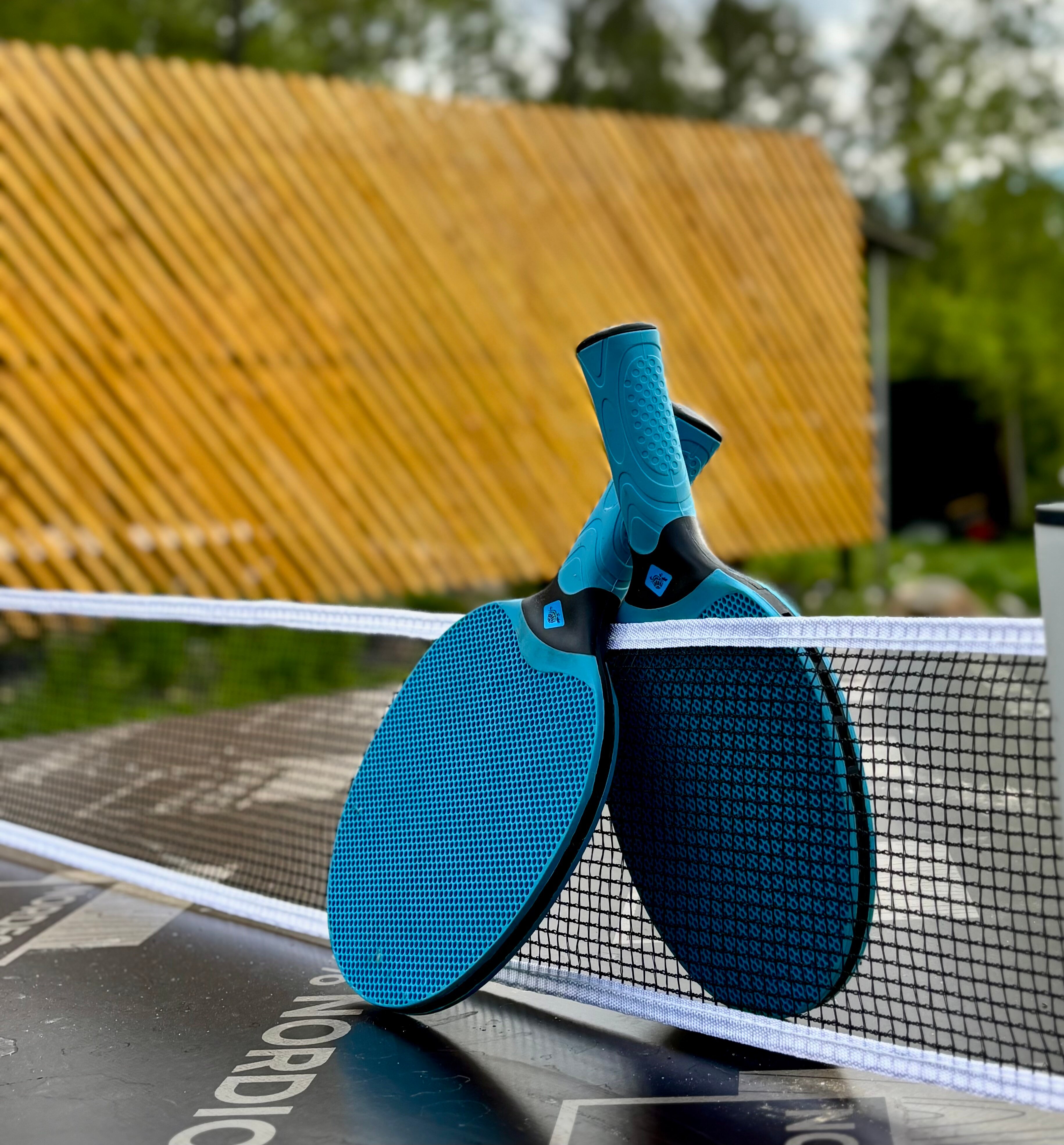 Фото Баглачевские дачи