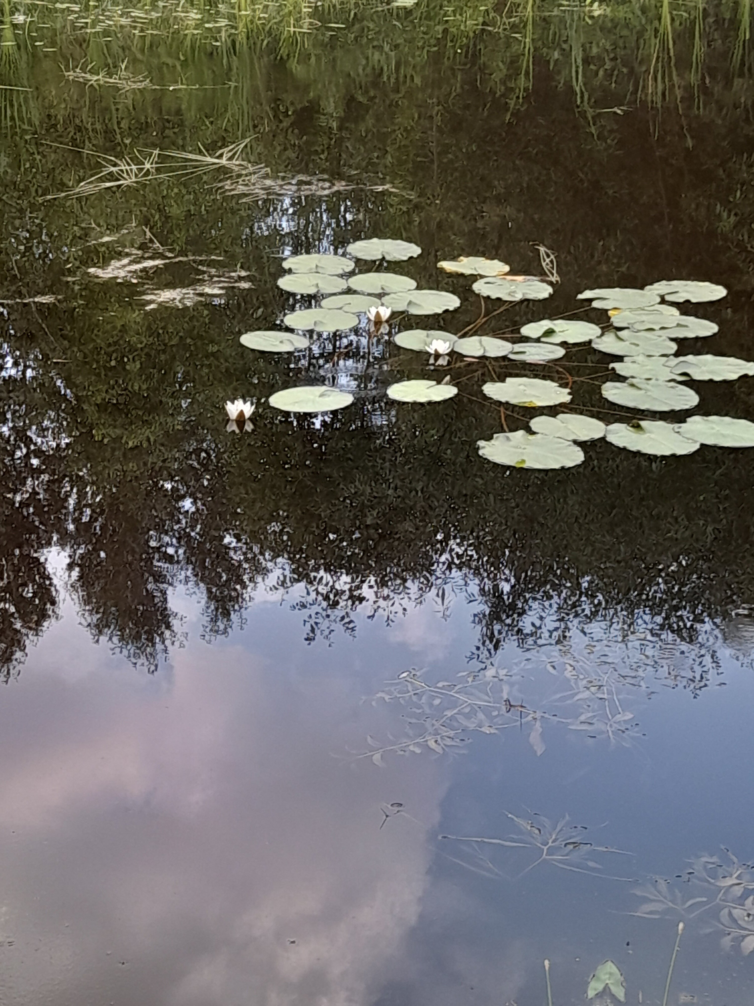 Фото Клевое местечко