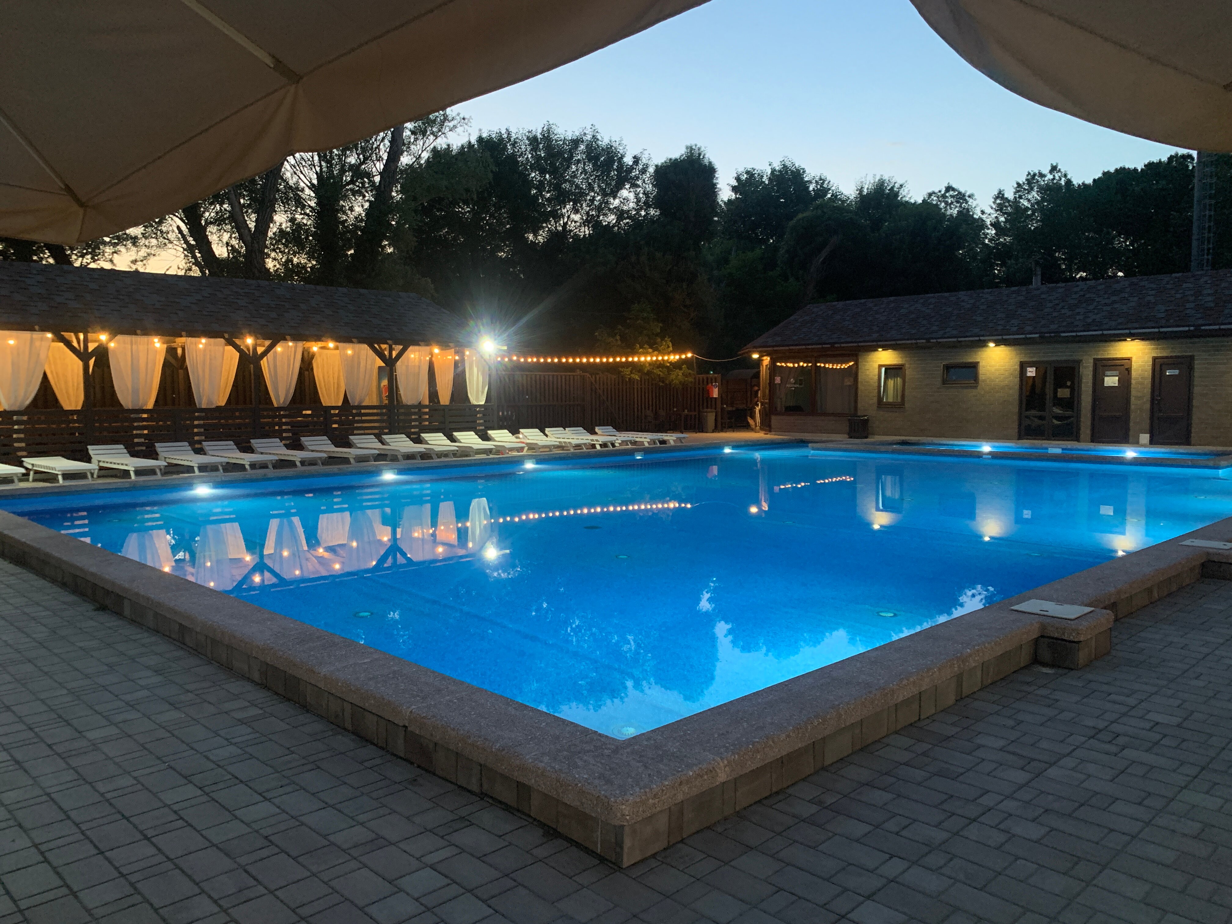 Фото Кипарис