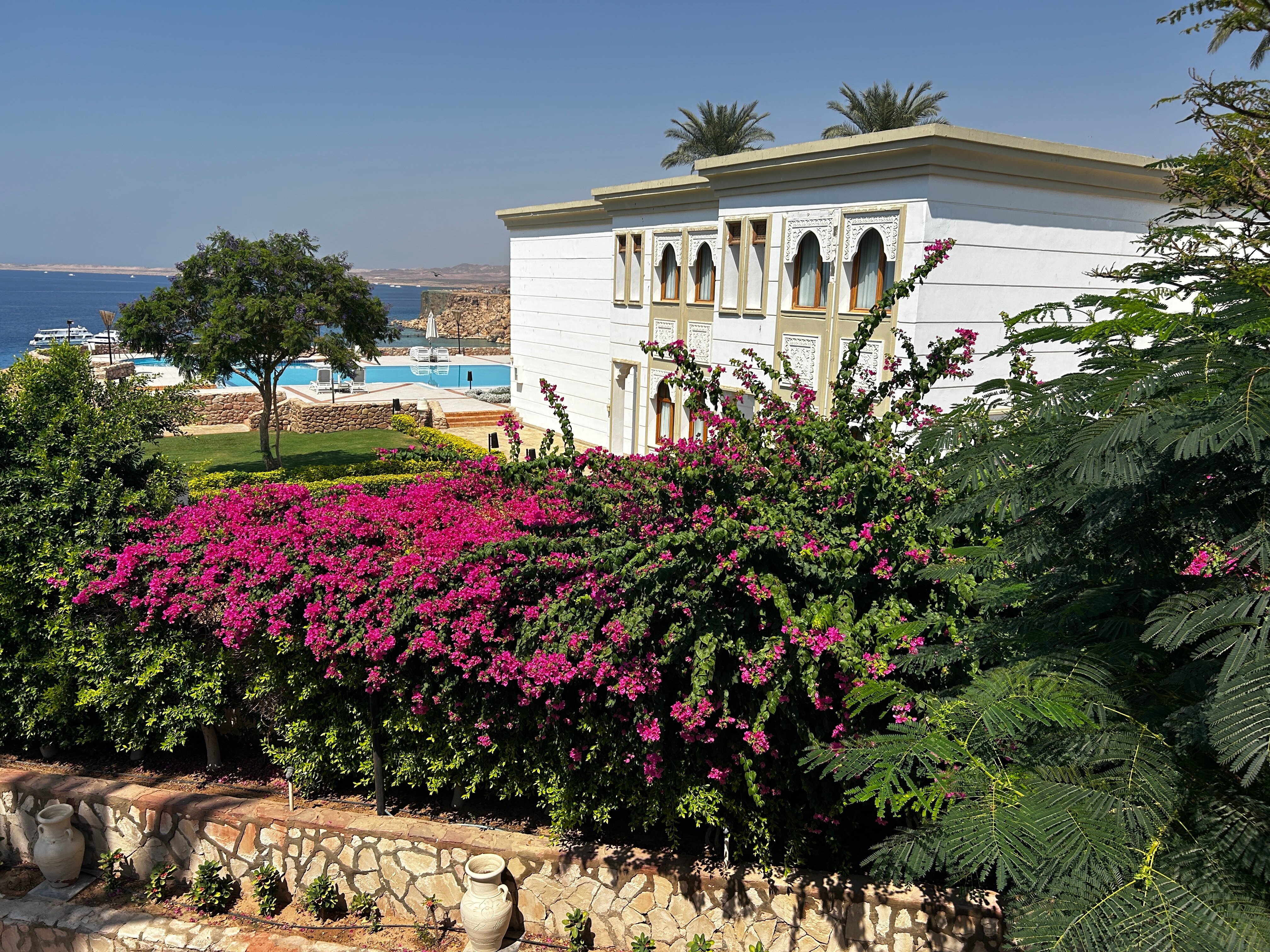 Фото Jaz Fanara Residence