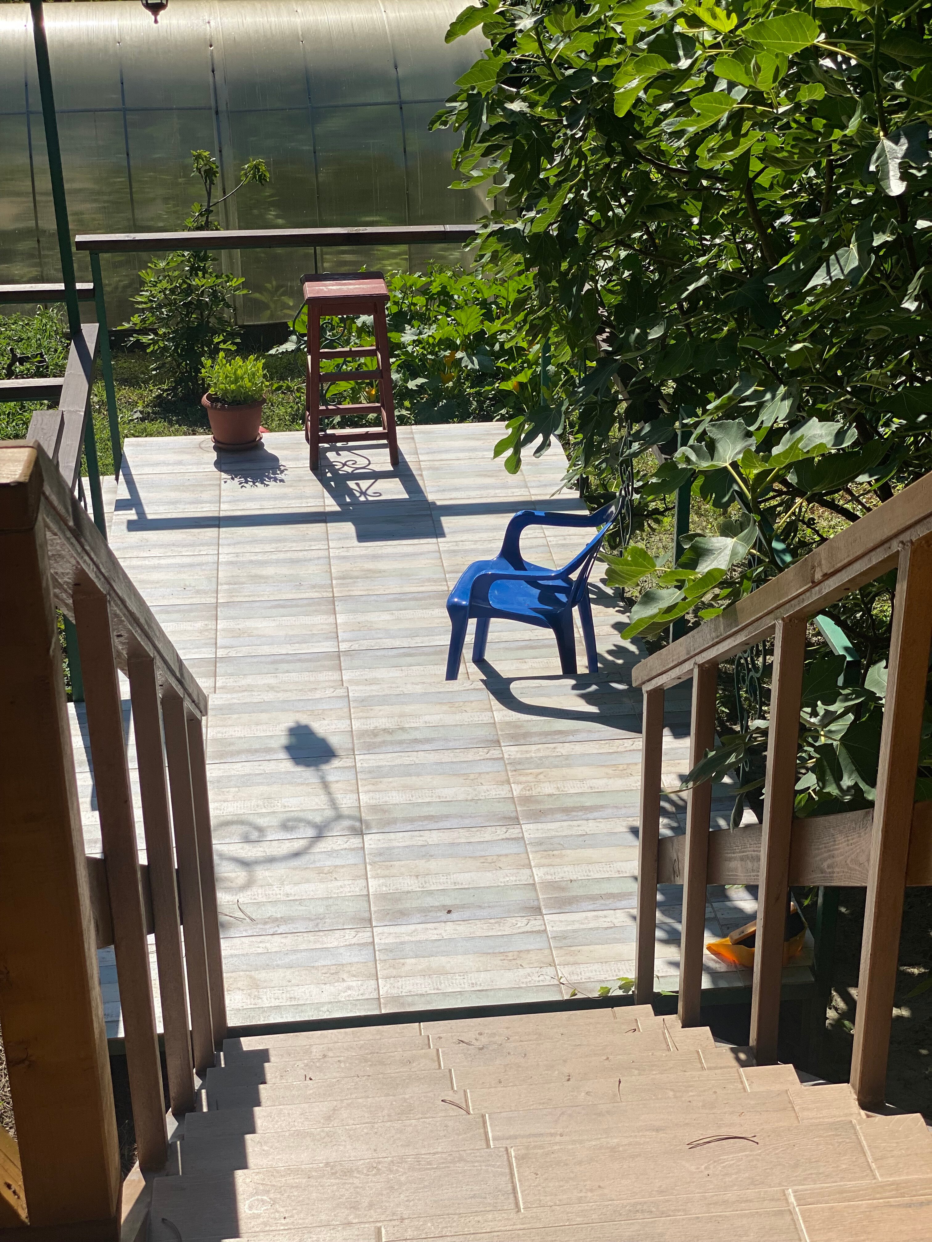 Фото Лесной домик Ель