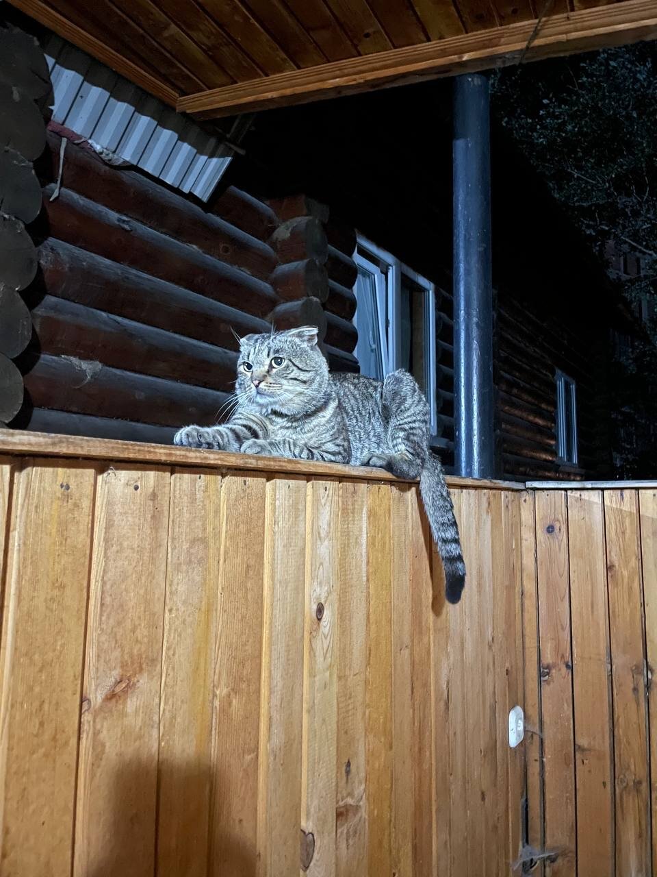 Фото Родник