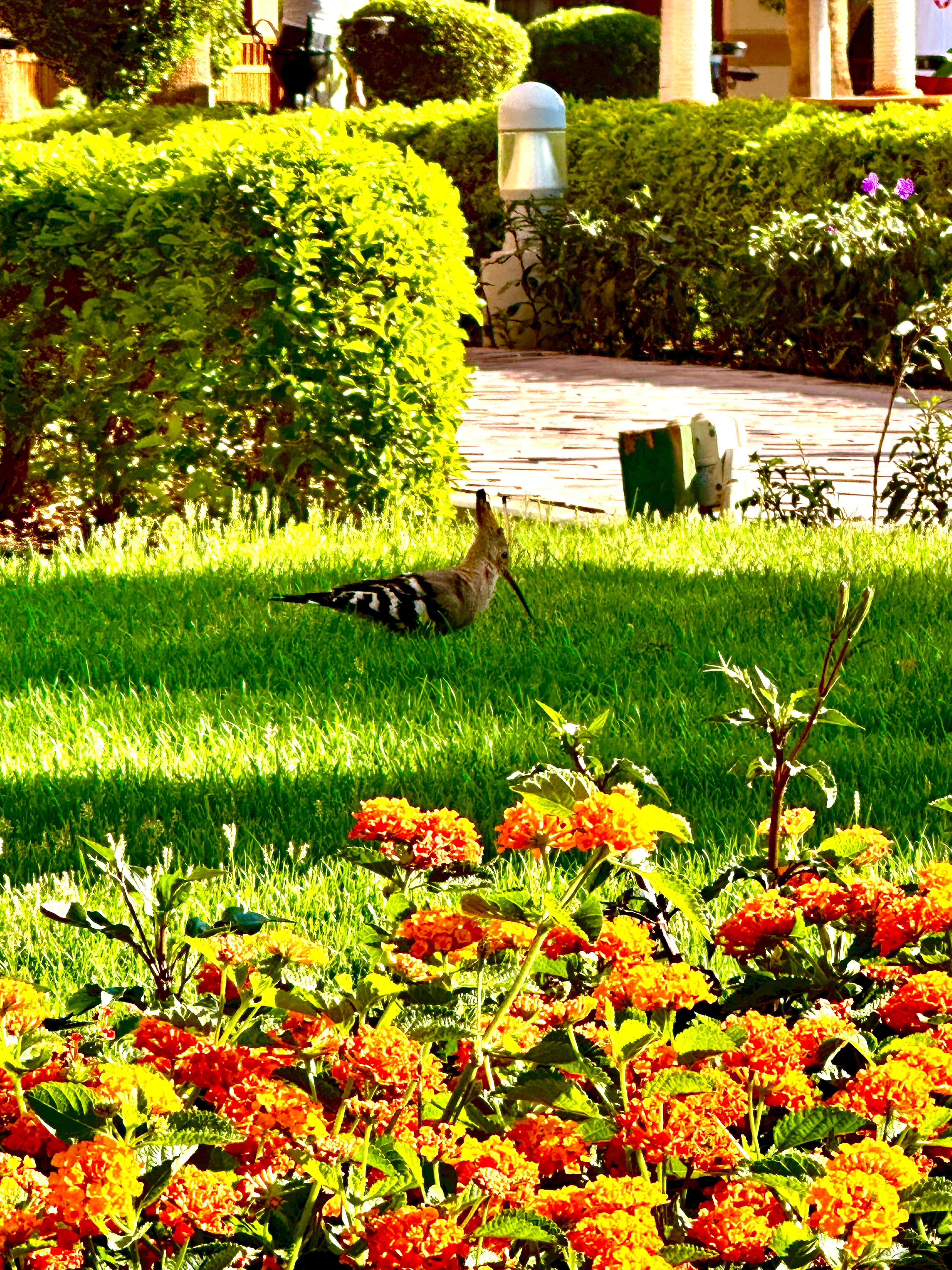 Фото Charmillion Sea Life Resort