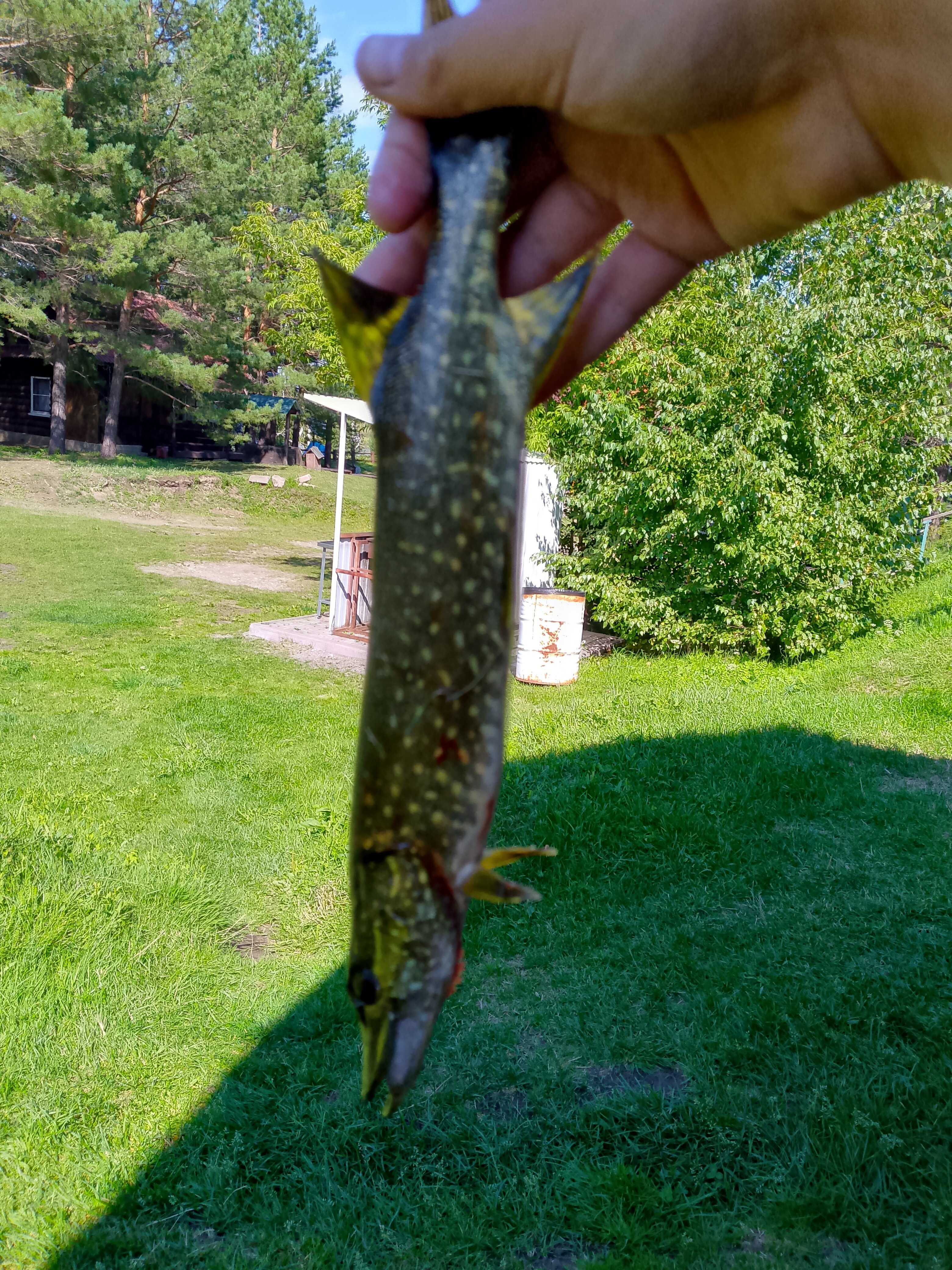 Фото УткульРФ