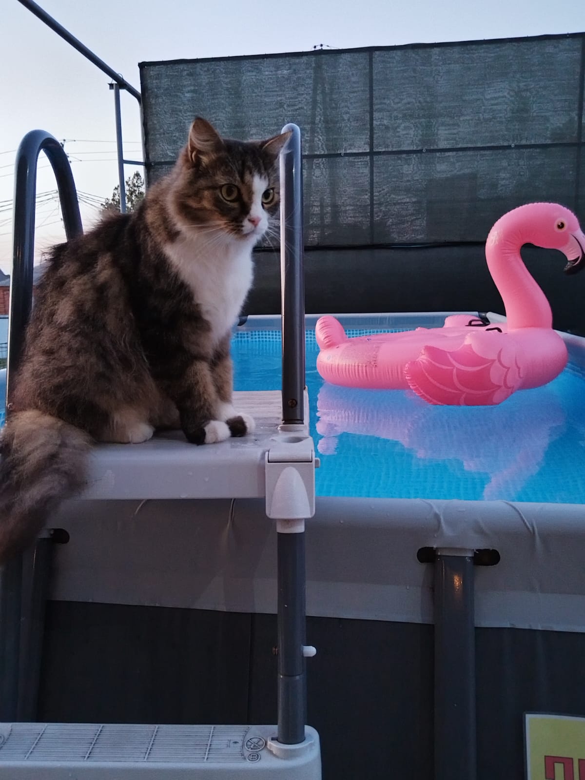 Фото Гостевой дом Калинина 20