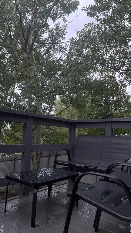 Фото На Заре