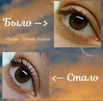 Kotowa.by (Maskowskaja Street, 20), eyebrow and eyelash salon