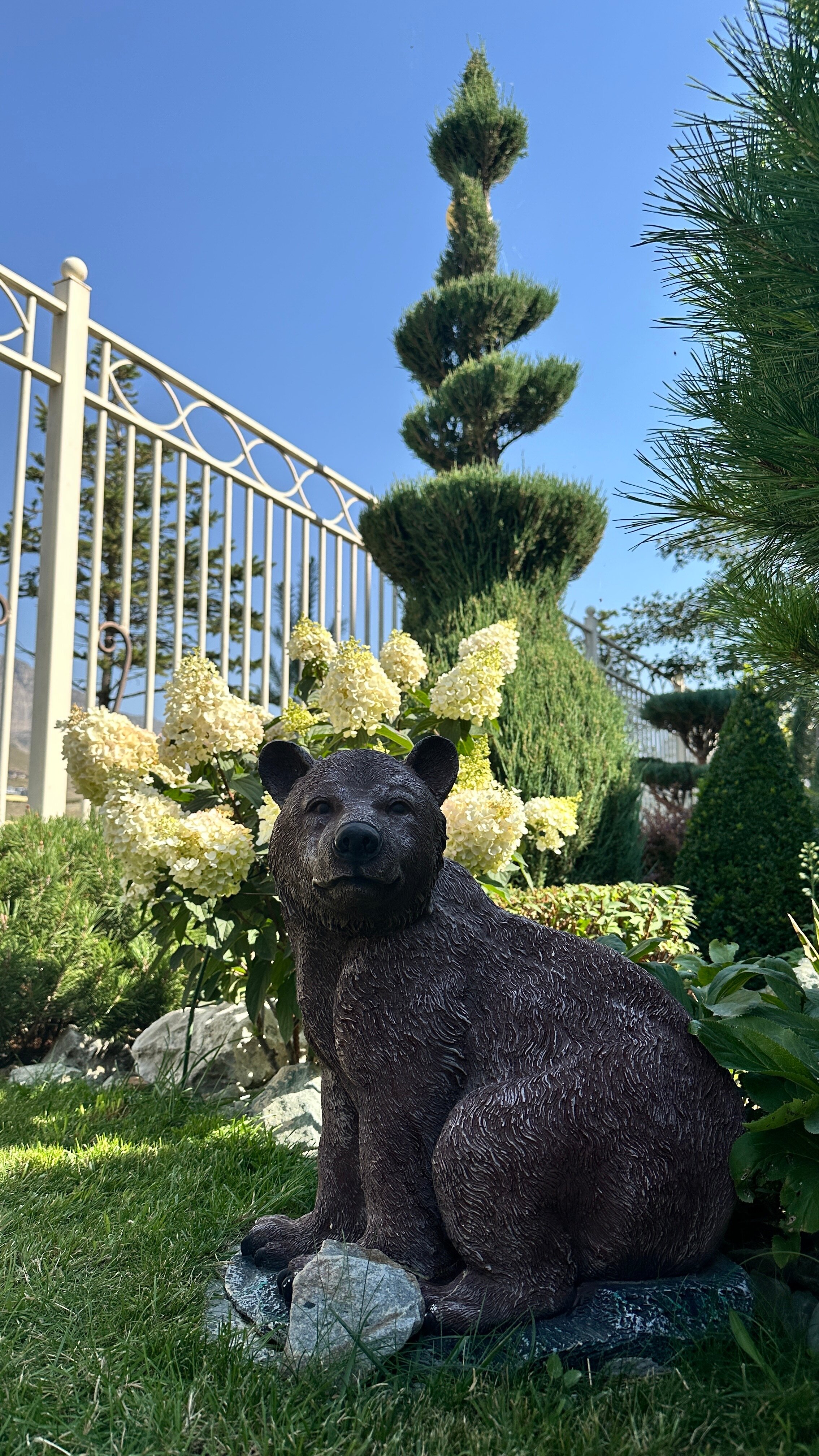 Фото Роза ветров