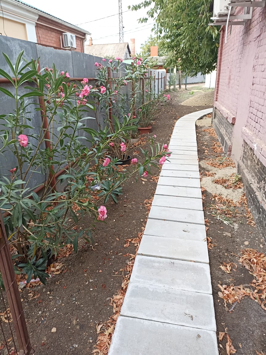 Фото Синий Тигр