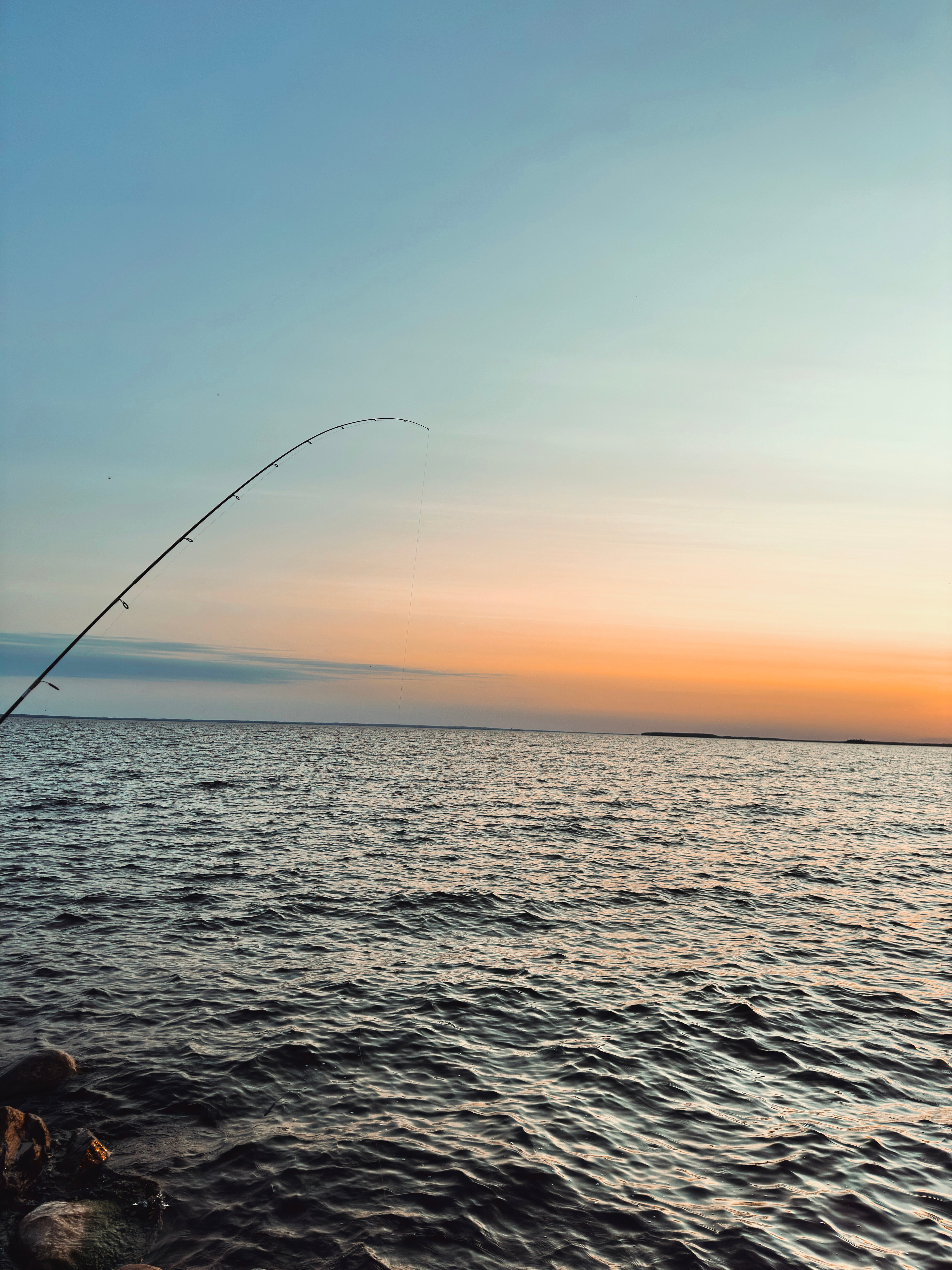 Фото Севера