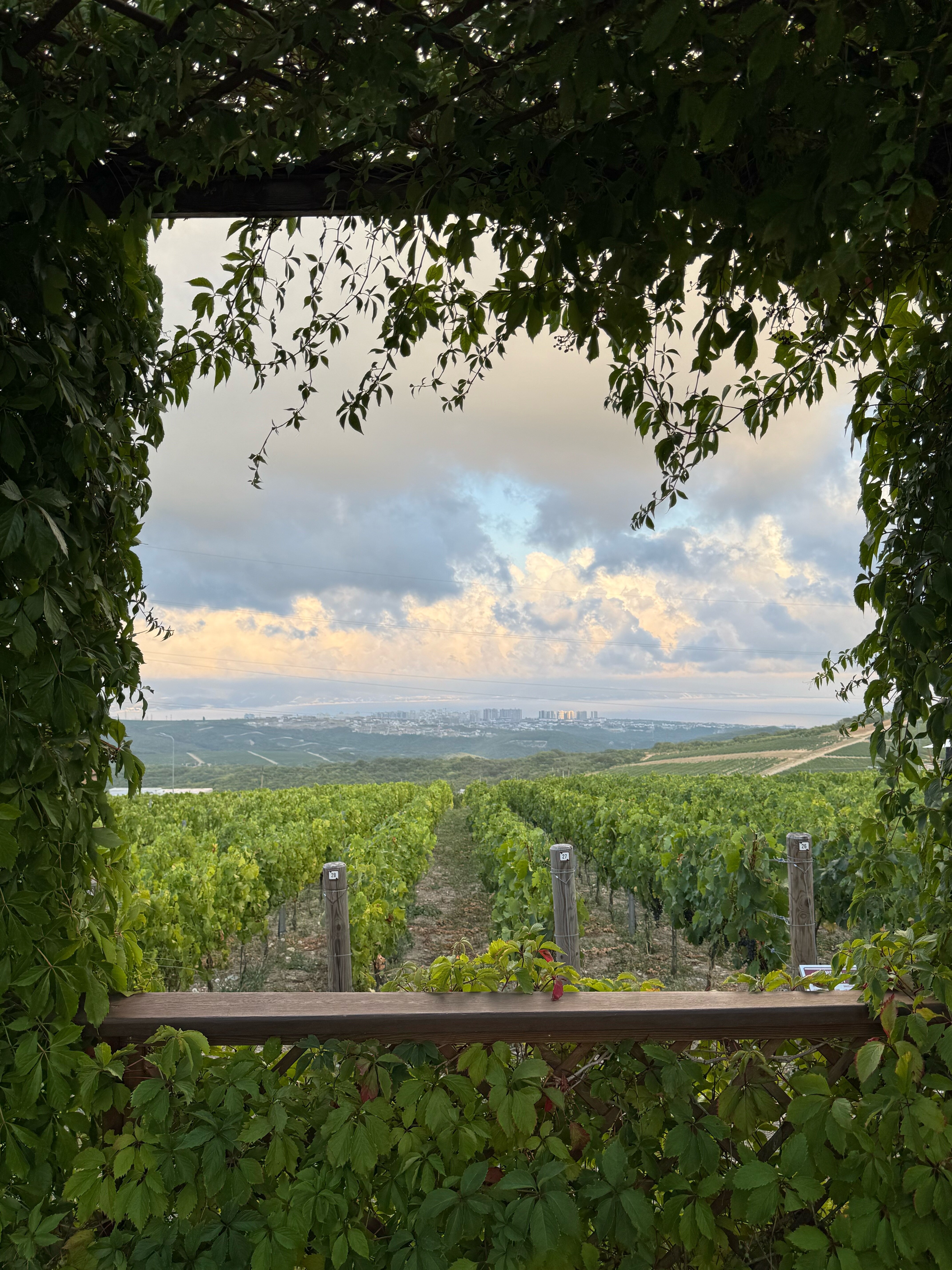 Фото ТеремШато