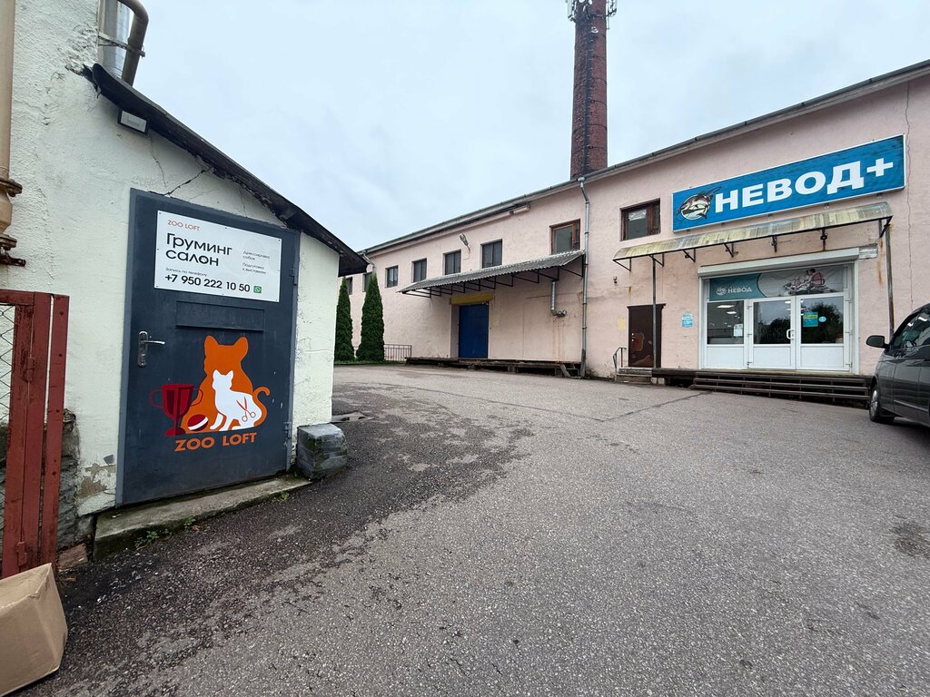 Pet salon Zoo loft, Vyborg, photo