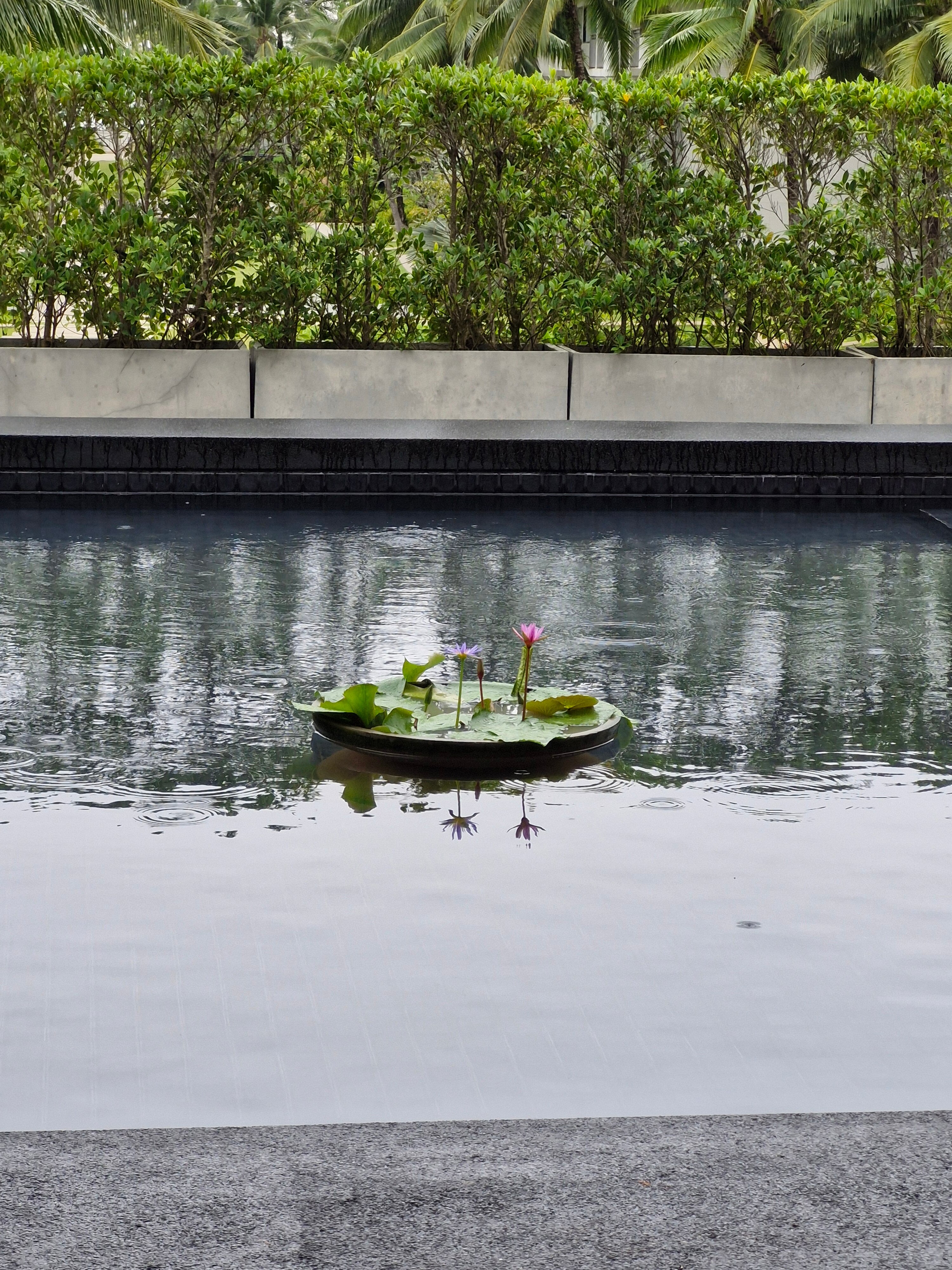 Фото Outrigger Khao Lak Beach Resort