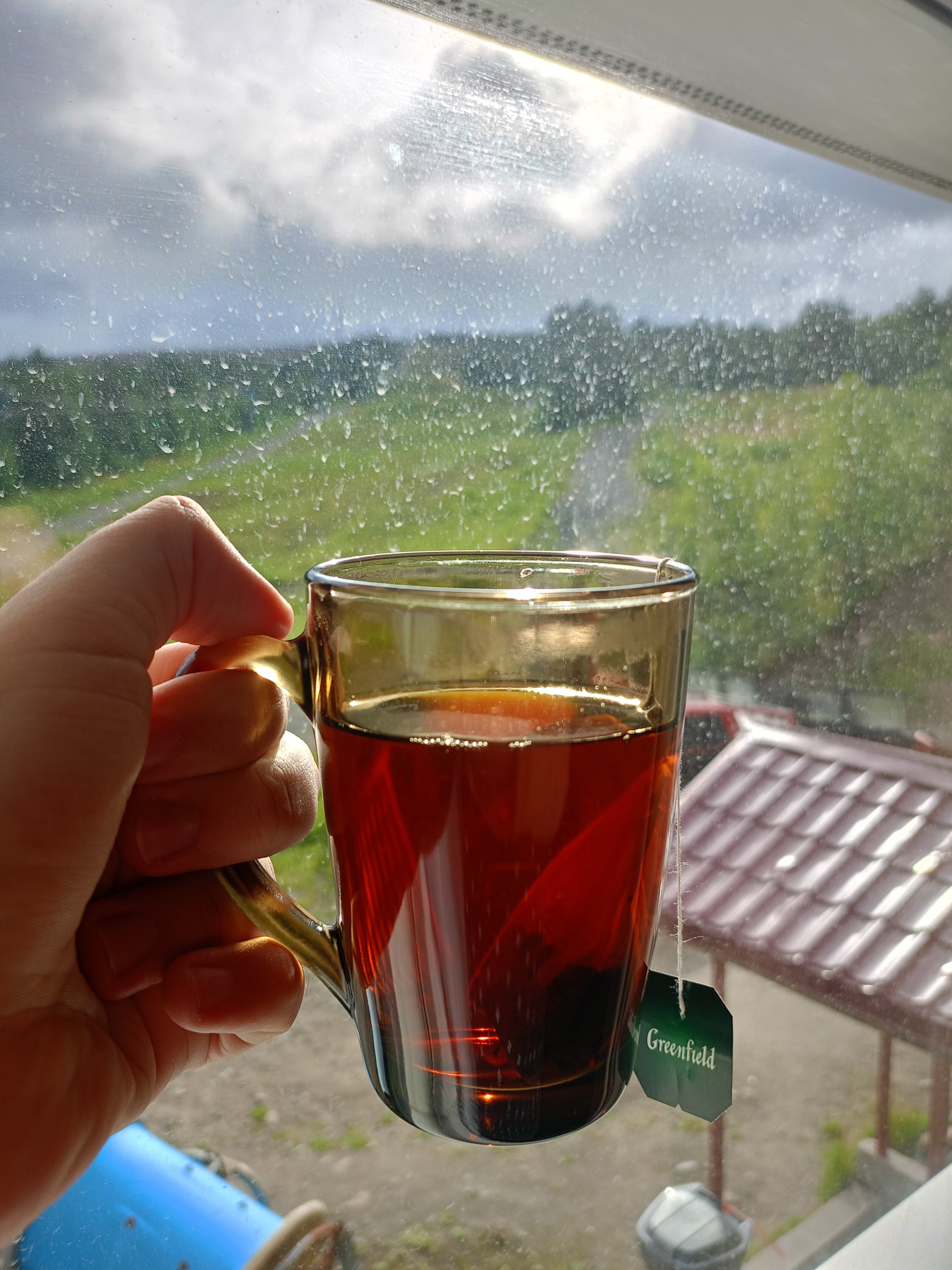 Фото Норд Стар