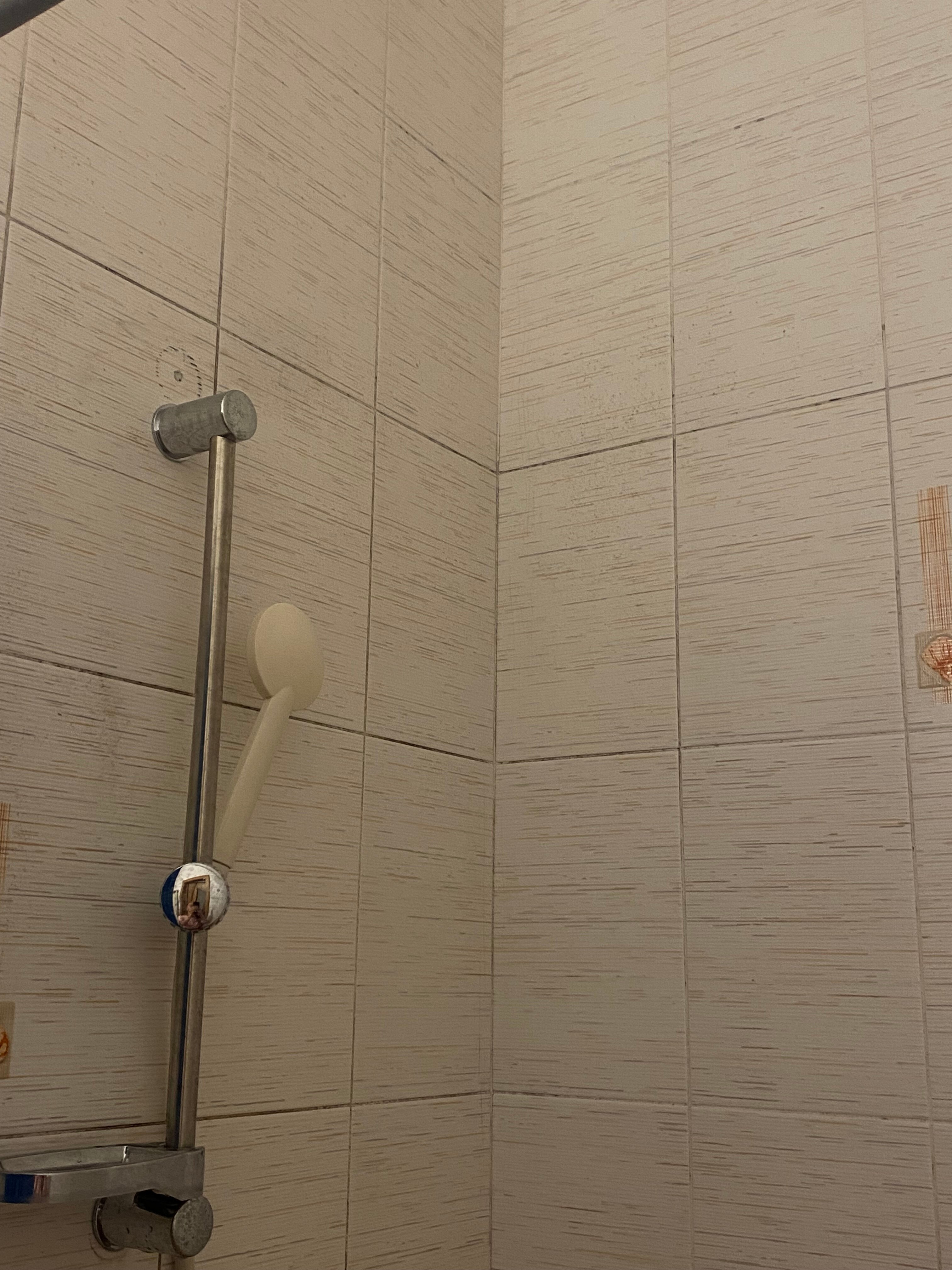 Фото Галиот