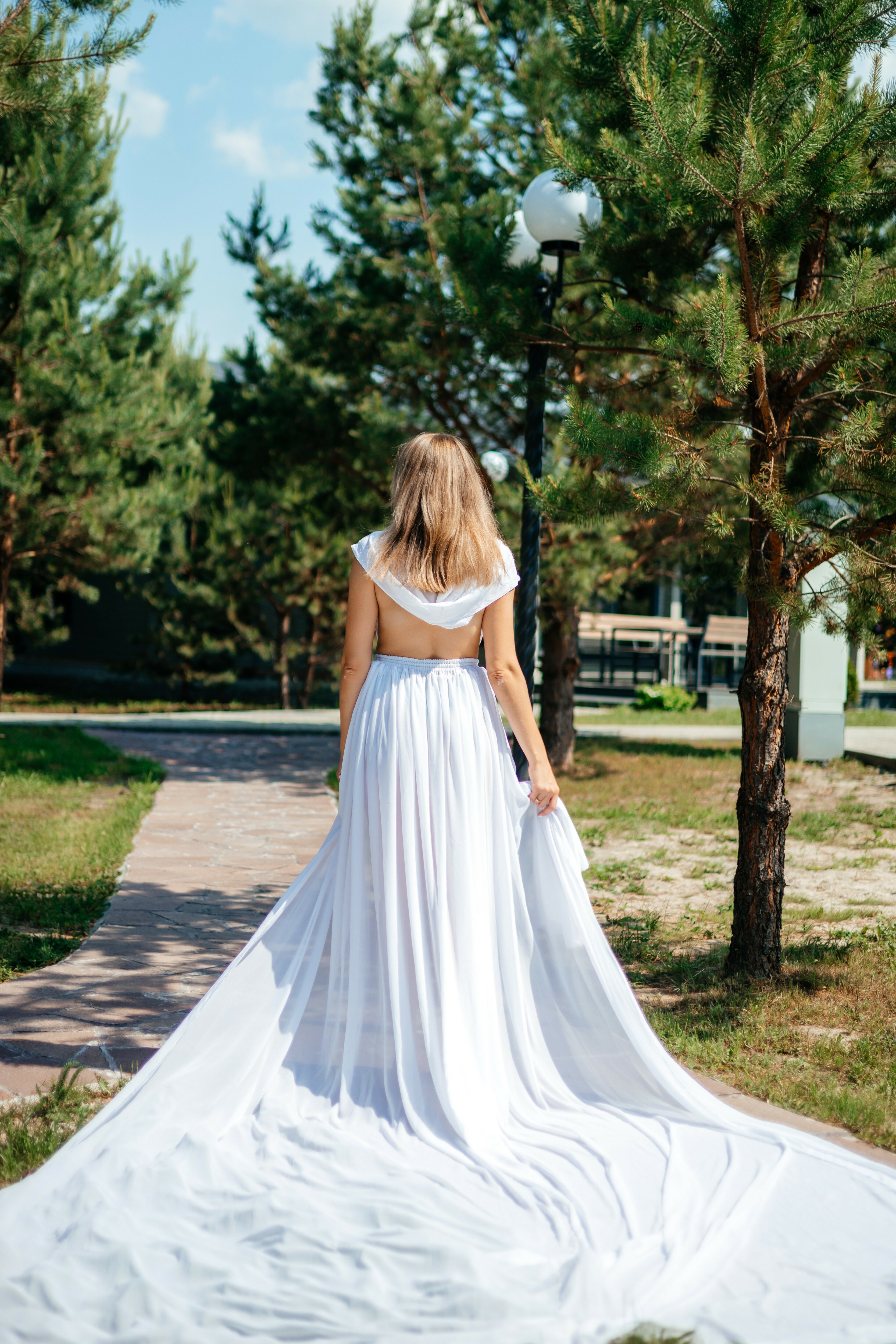 Фото Лесная симфония