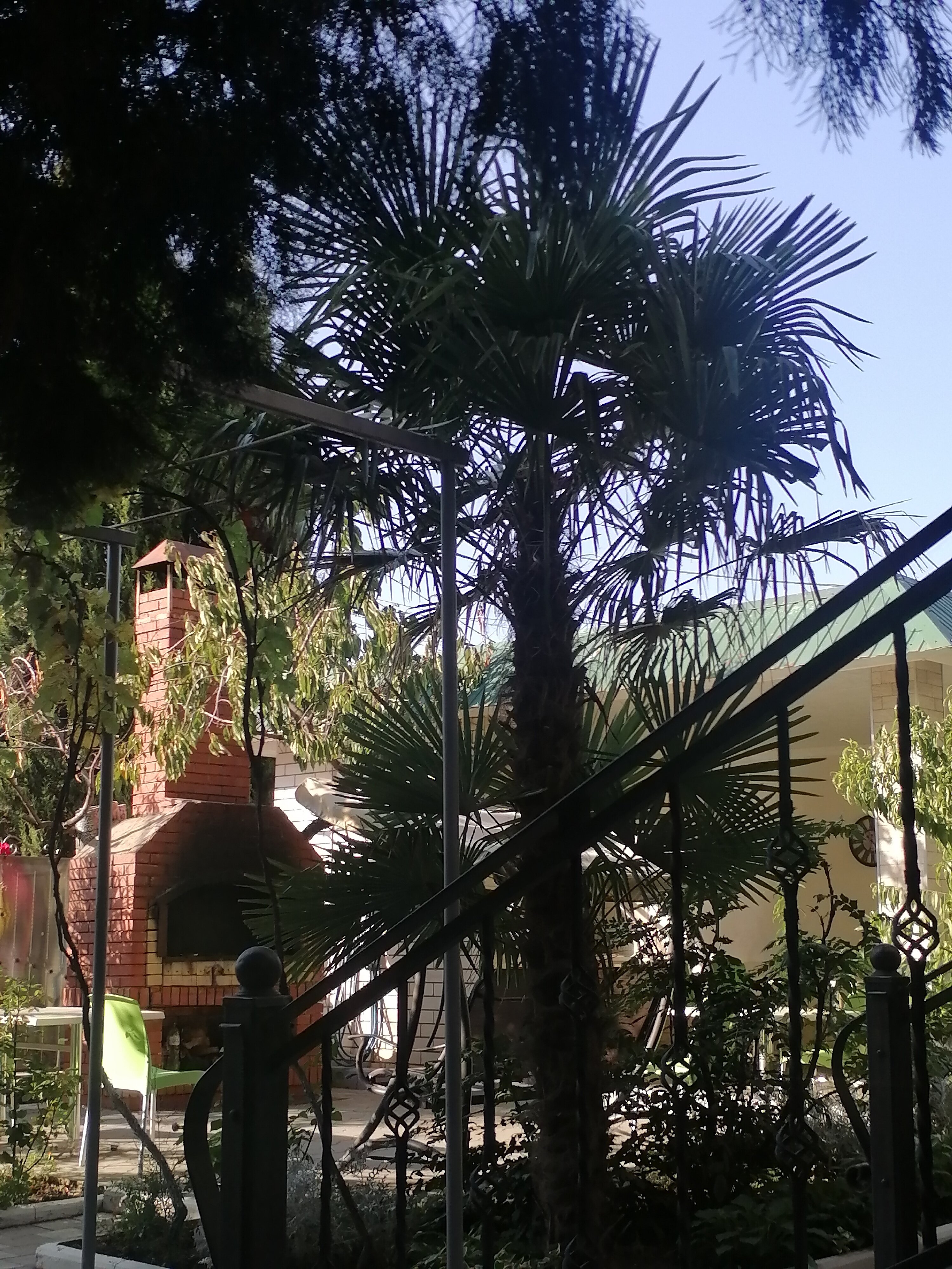 Фото Гостевой дом на Севастопольской 46